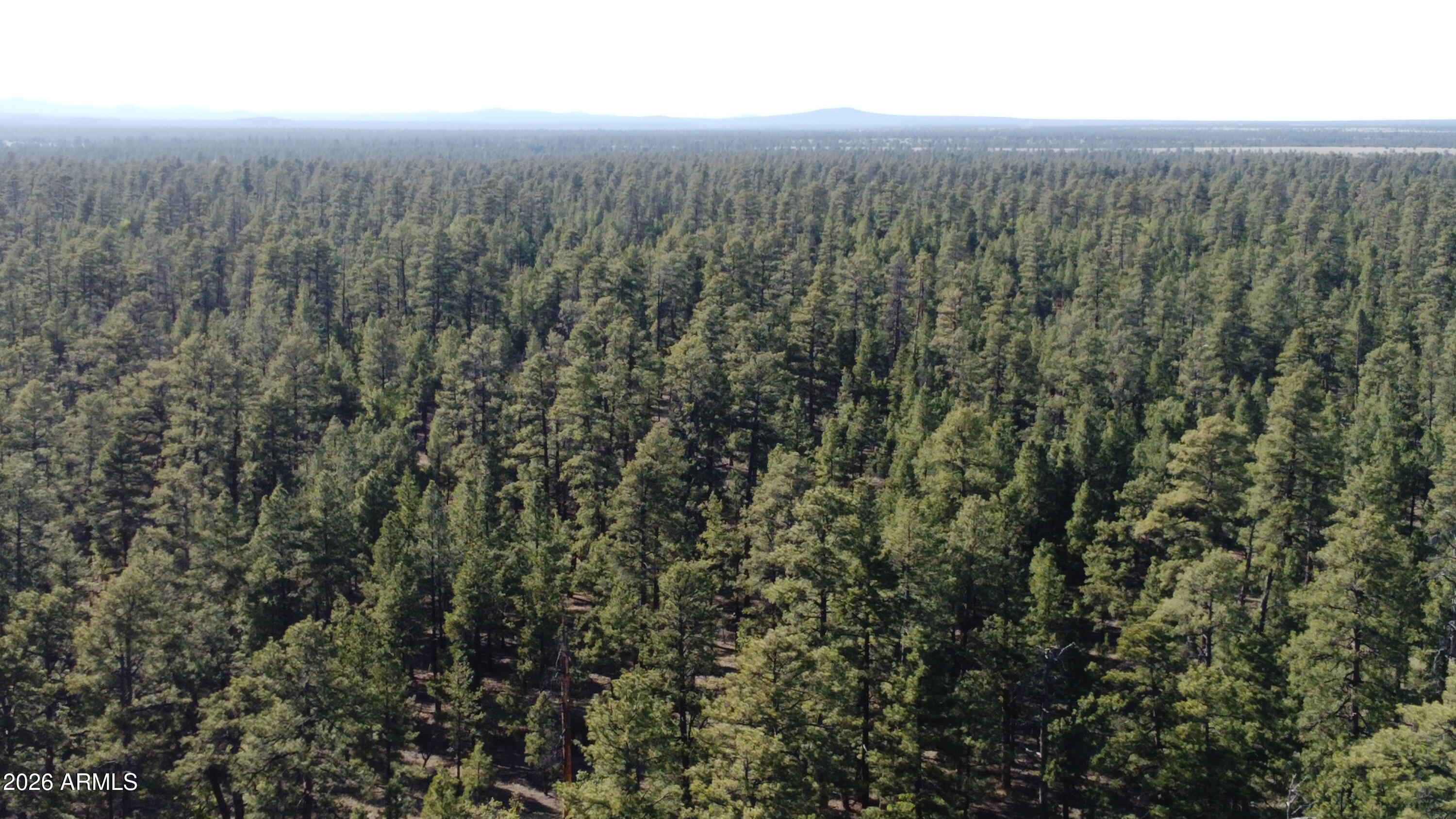 STARLIGHT PINES 4 PHASE 3 - Land