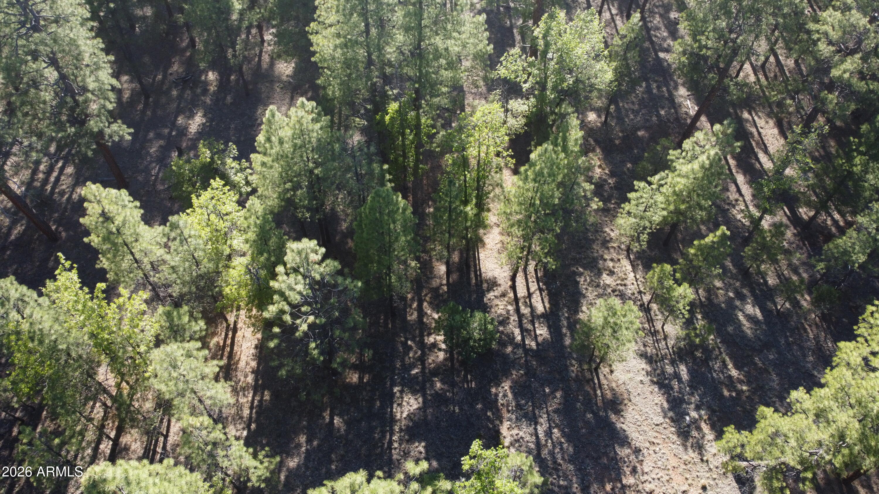 STARLIGHT PINES 4 PHASE 3 - Land