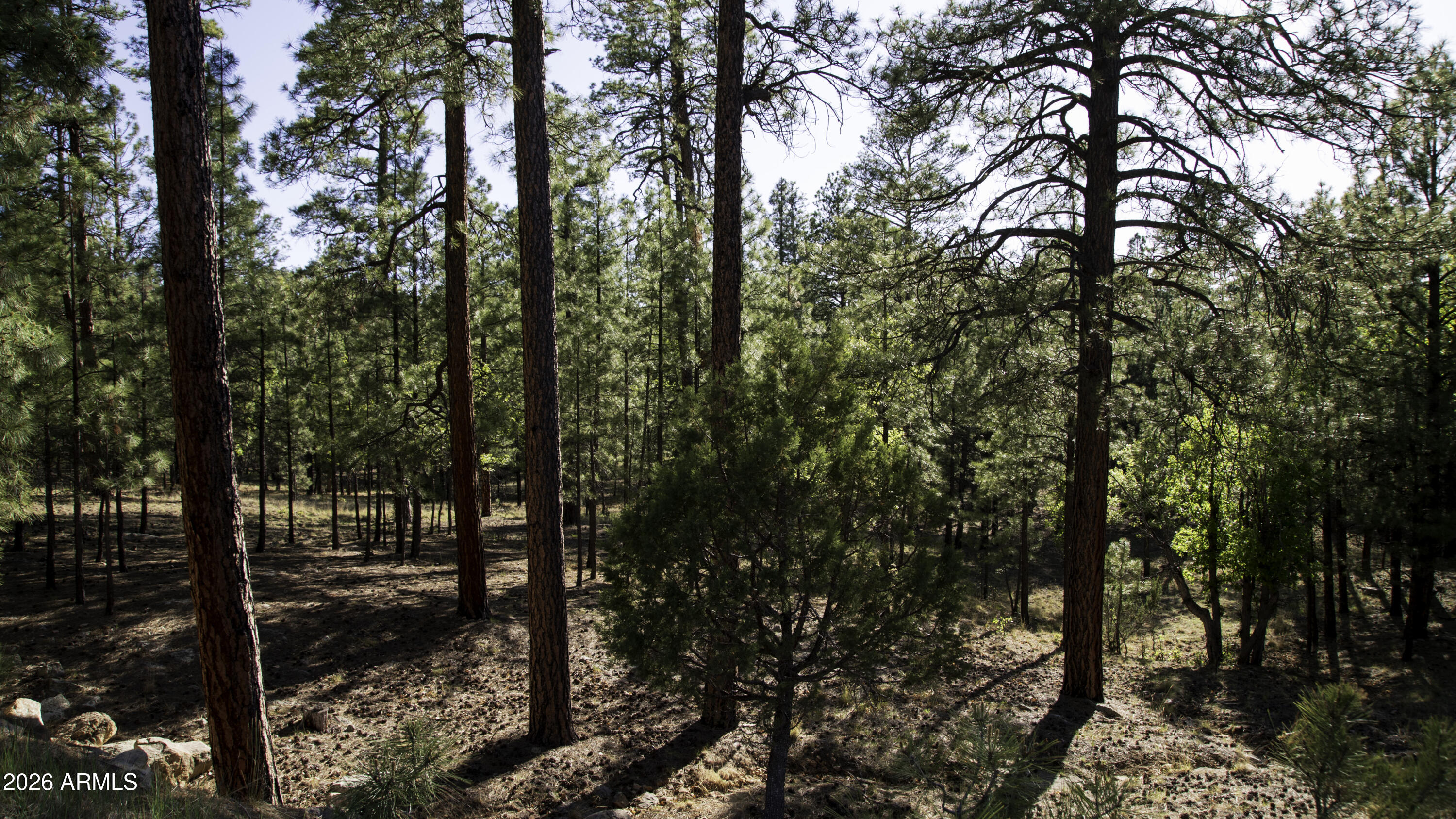 STARLIGHT PINES 4 PHASE 3 - Land