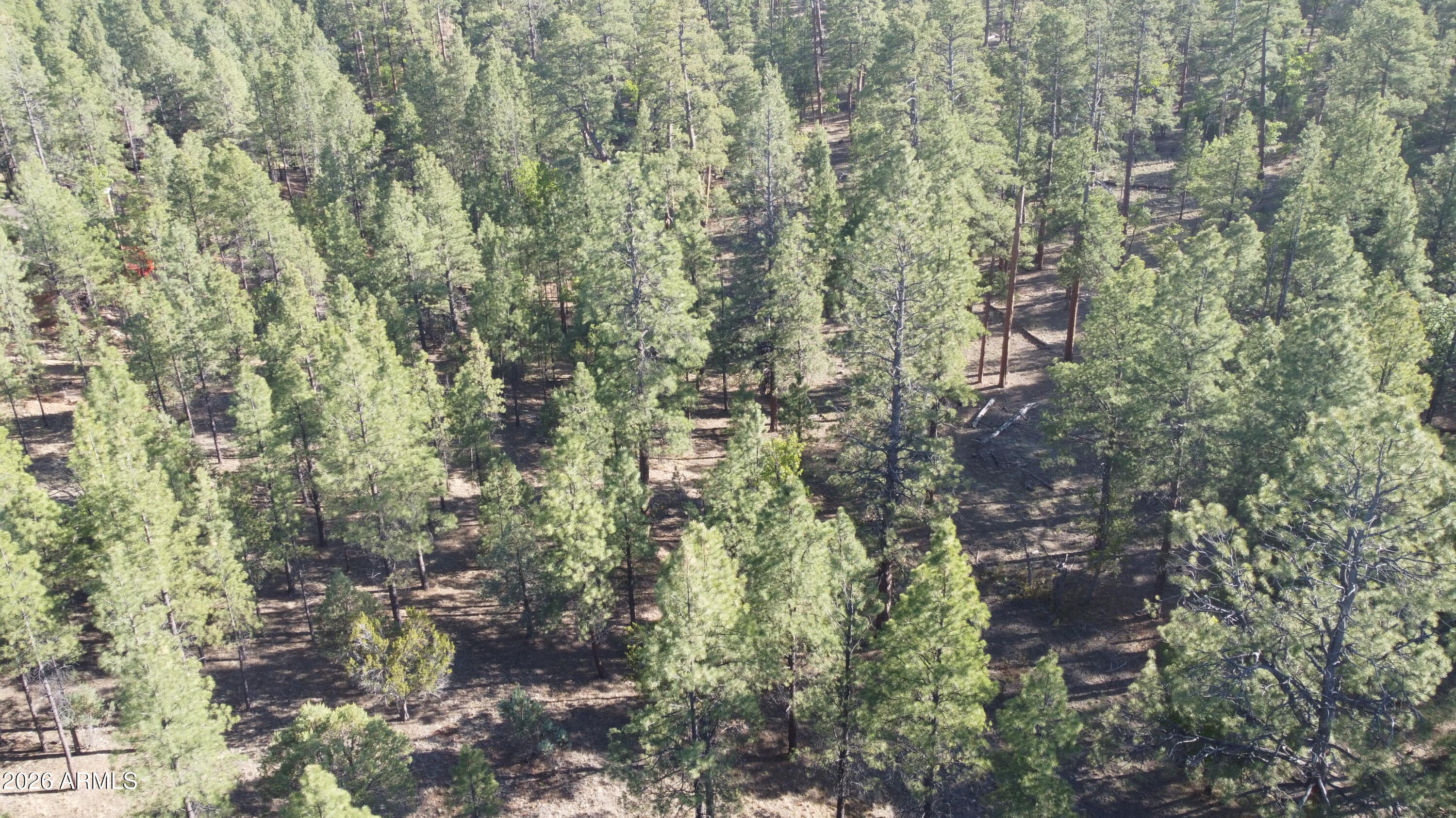 STARLIGHT PINES 4 PHASE 3 - Land