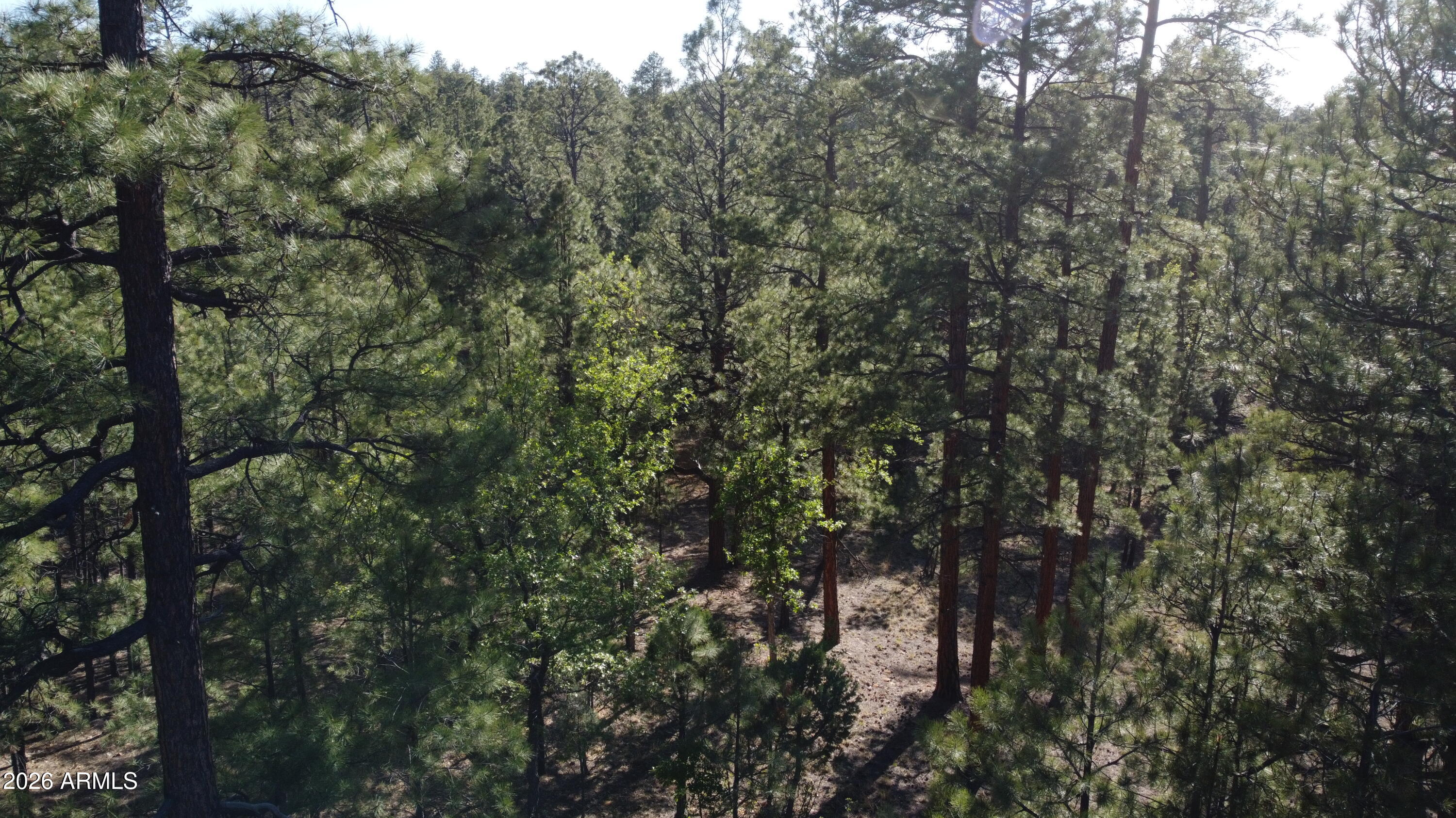 STARLIGHT PINES 4 PHASE 3 - Land