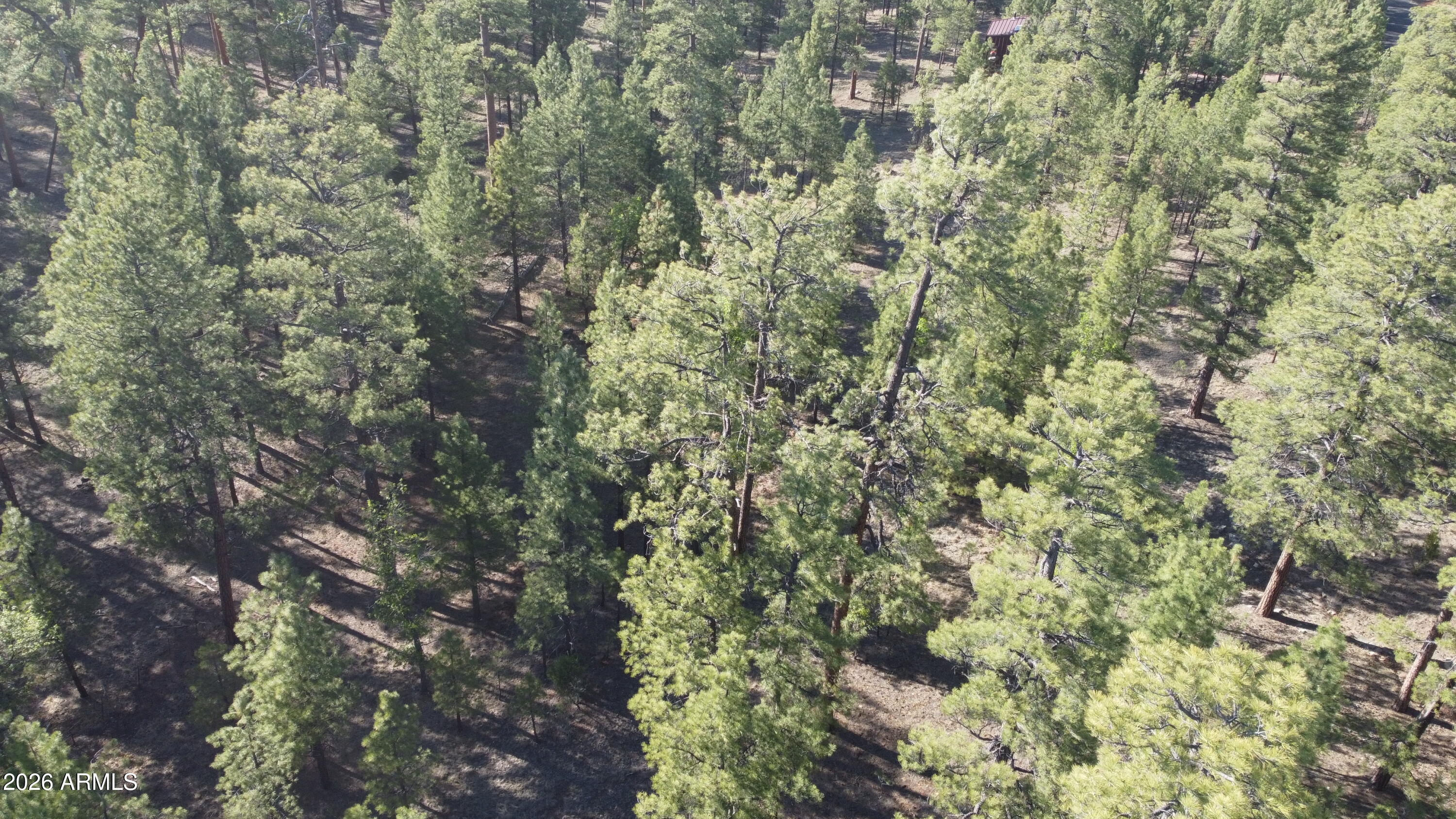 STARLIGHT PINES 4 PHASE 3 - Land