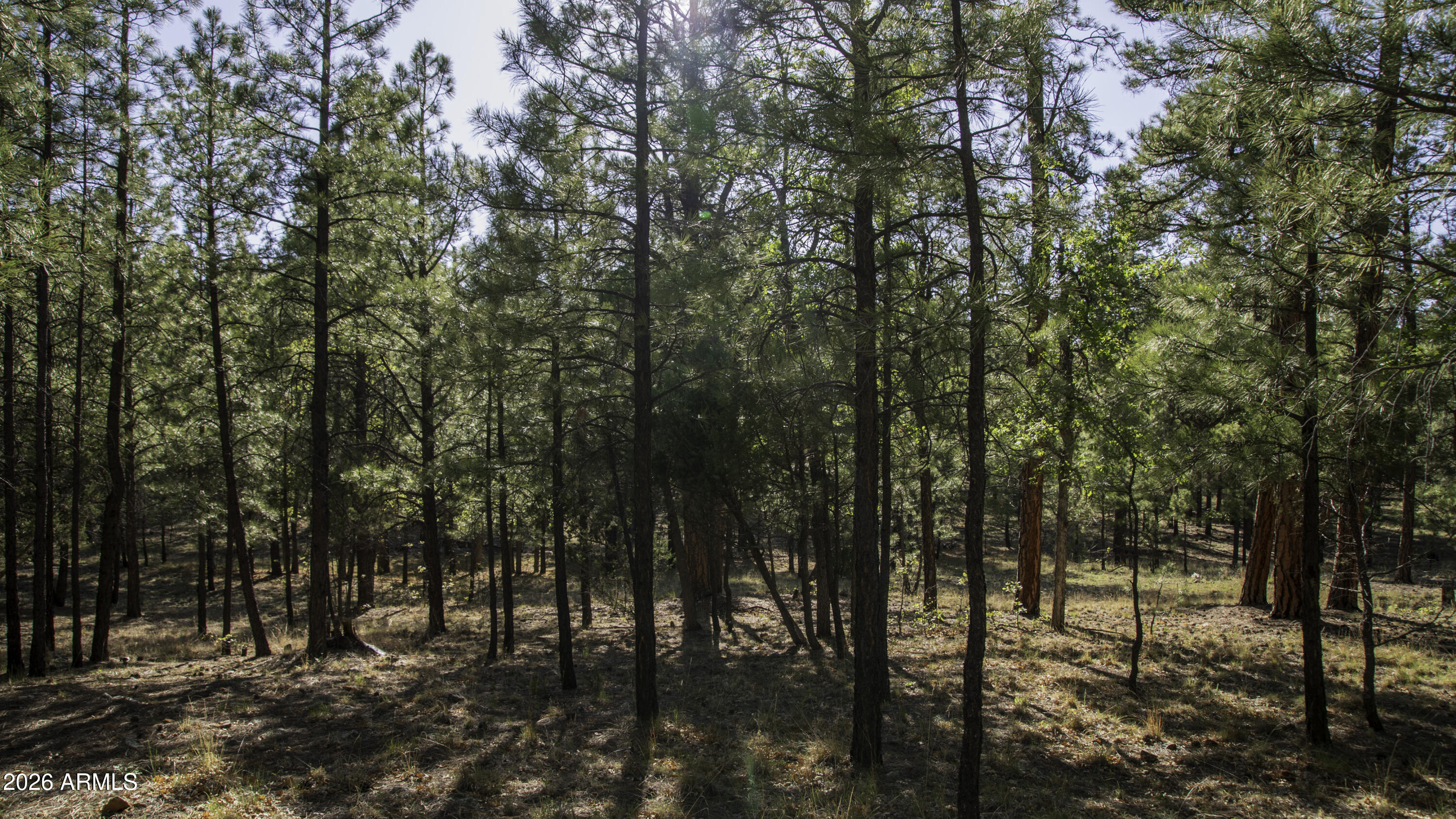 STARLIGHT PINES 4 PHASE 3 - Land