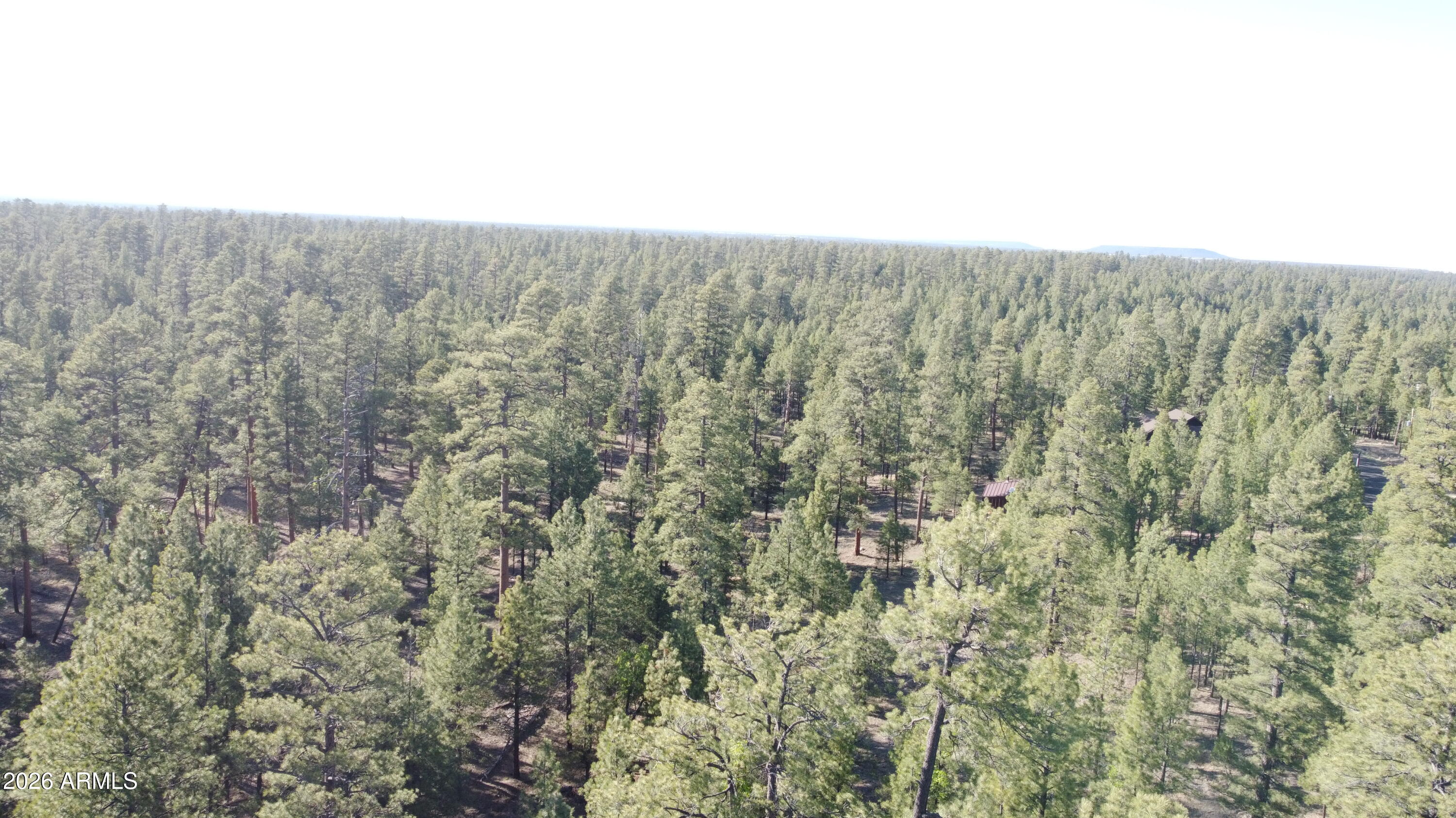 STARLIGHT PINES 4 PHASE 3 - Land