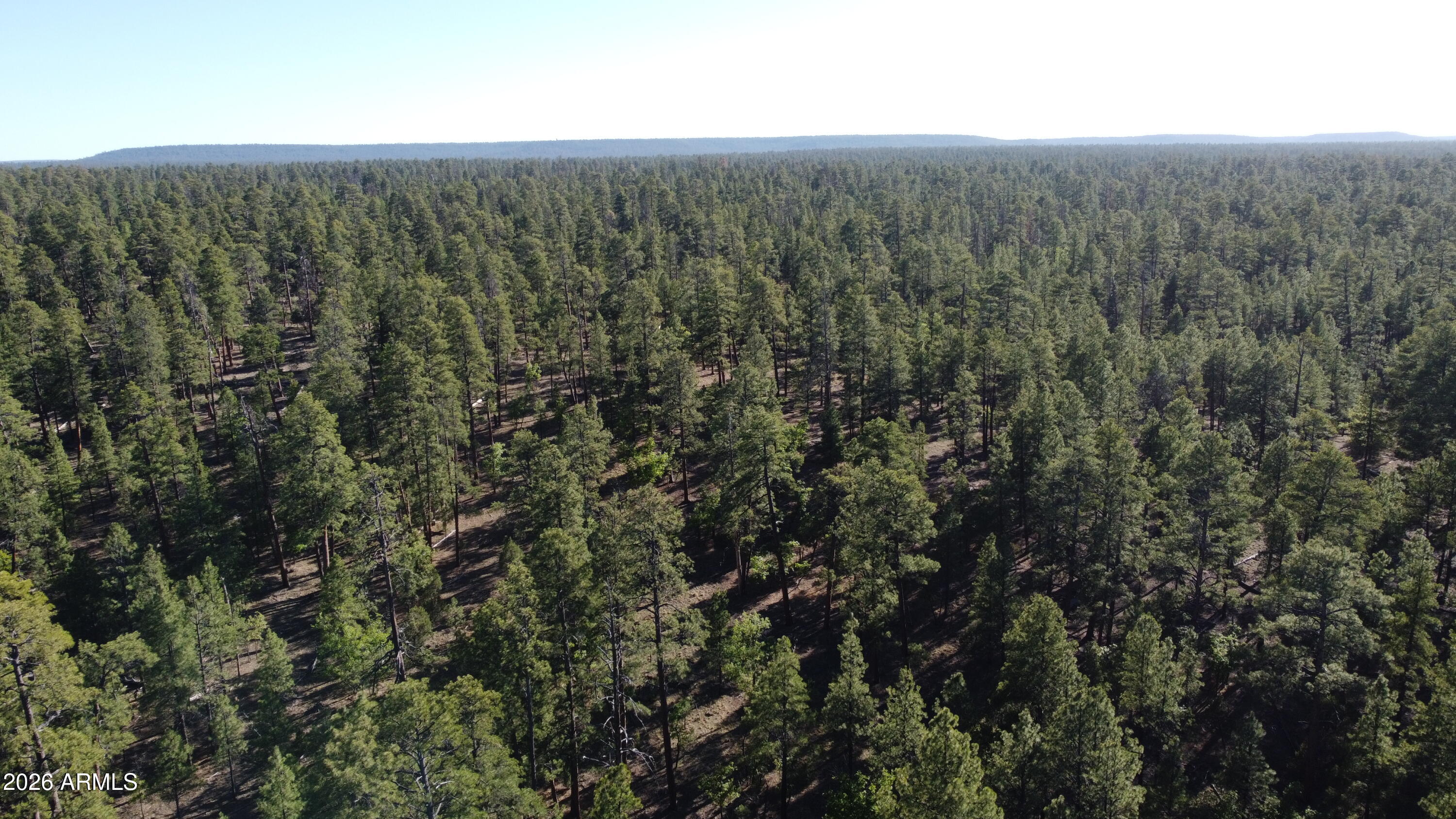 STARLIGHT PINES 4 PHASE 3 - Land