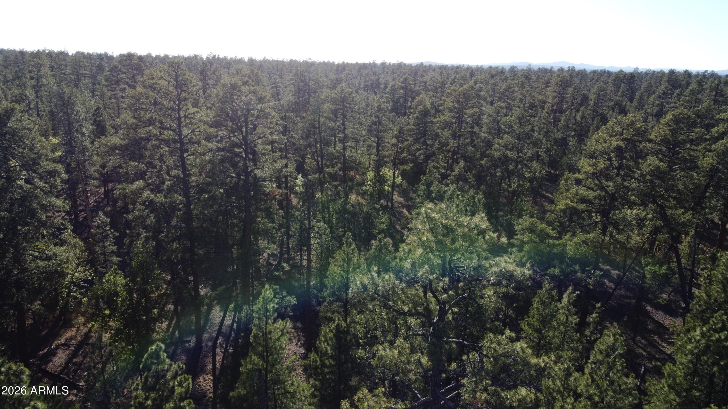 STARLIGHT PINES 4 PHASE 3 - Land