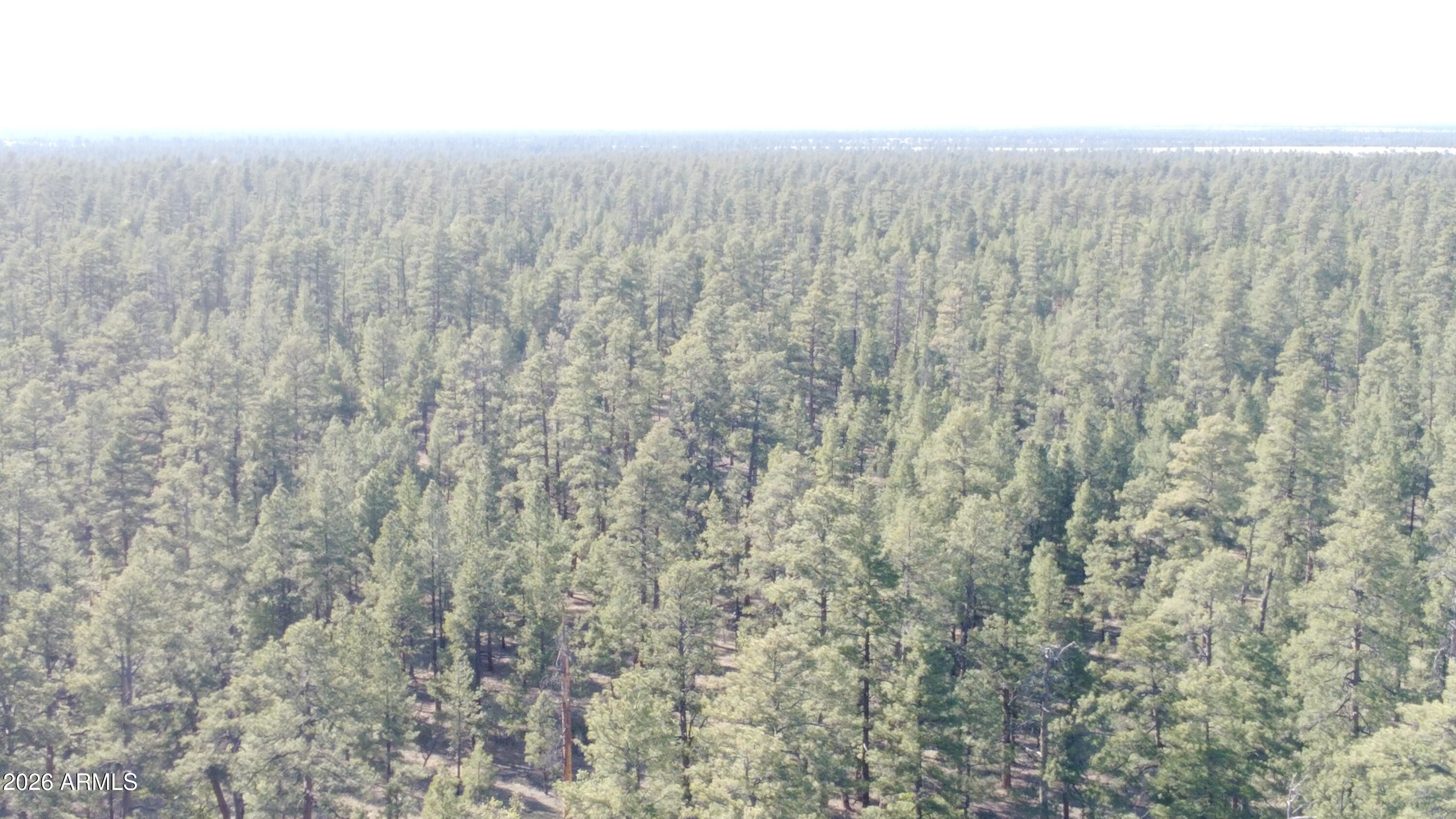 STARLIGHT PINES 4 PHASE 3 - Land