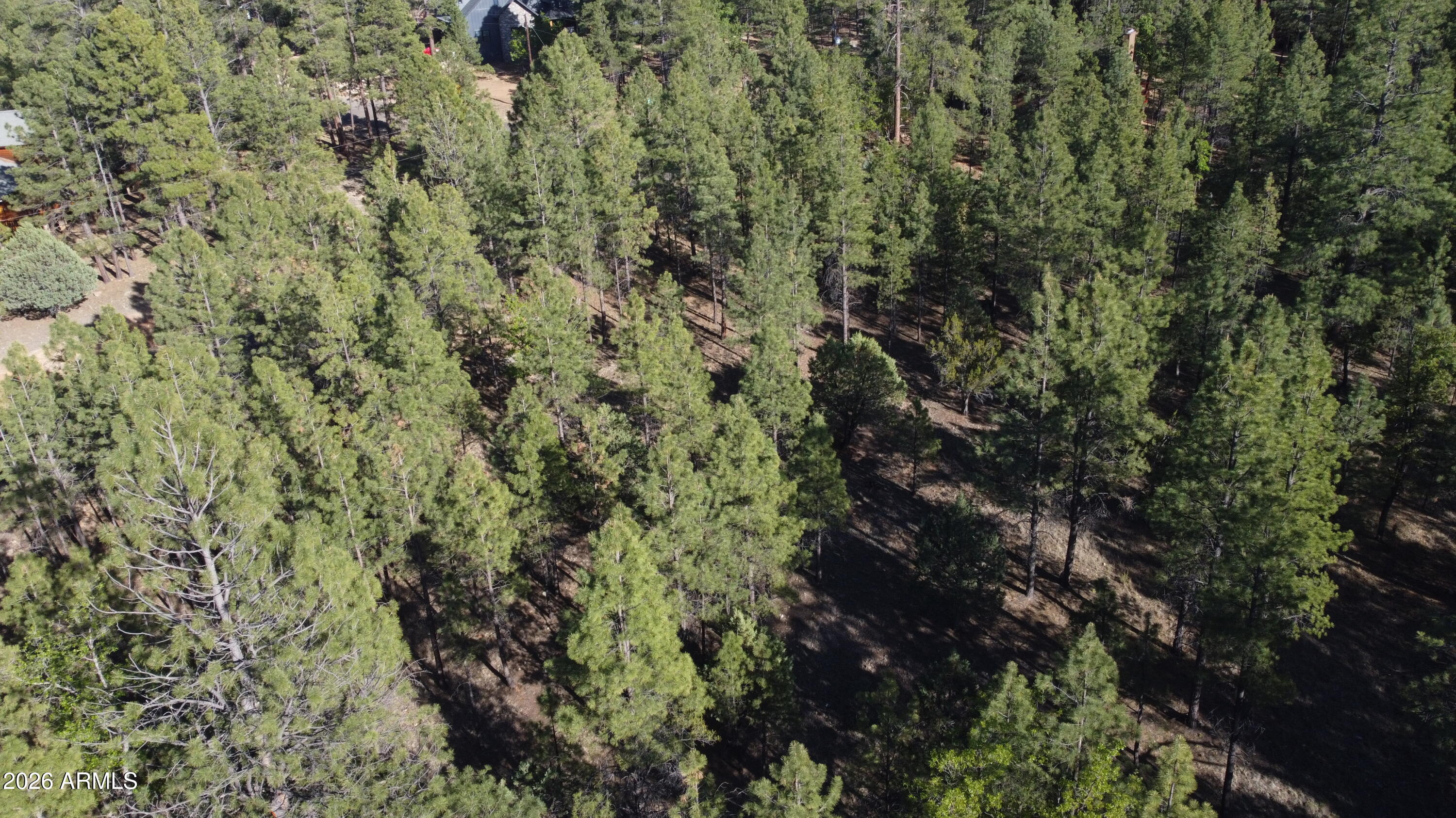 STARLIGHT PINES 4 PHASE 3 - Land