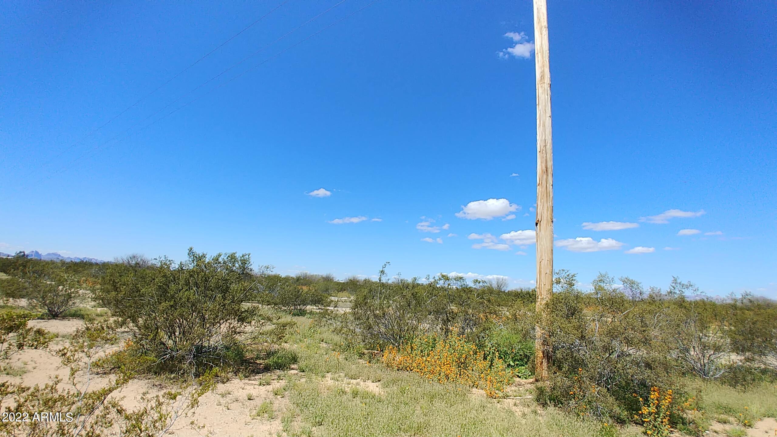 BIG HORN FARMS - Land