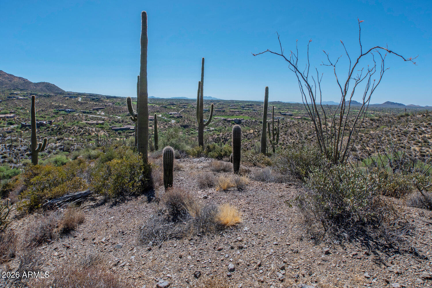 CAREFREE RANCH HOMESTEADS PHASE 1 REVISION 4 - Land
