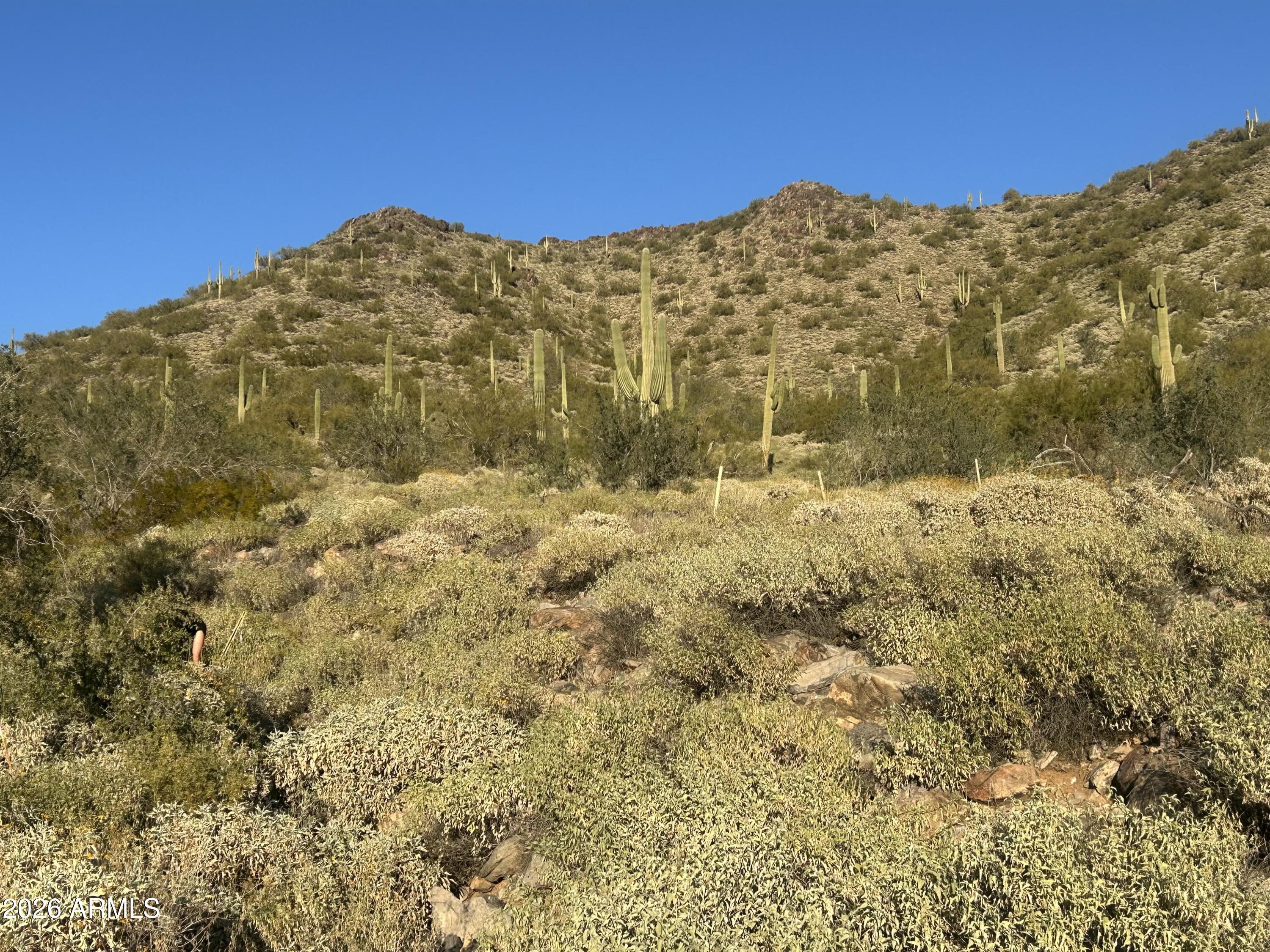 PLEASANT COUNTRY RANCHES UNIT 6 - Land