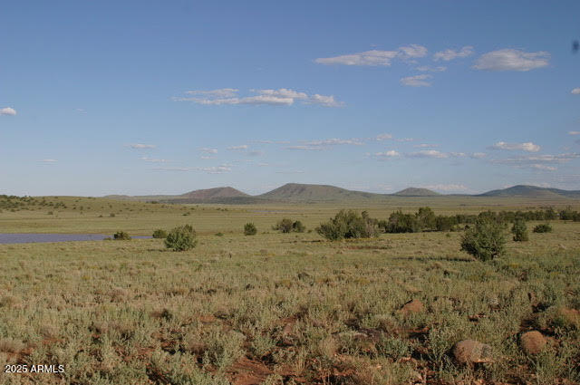 CONCHO LAKE LAND - Land