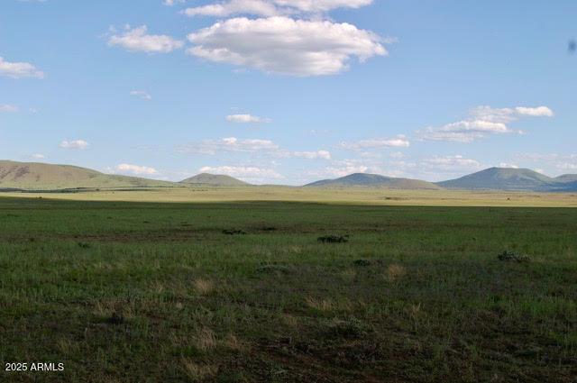 CONCHO LAKE LAND - Land