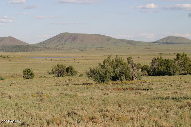 CONCHO LAKE LAND - Land