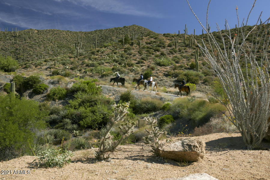 Desert Mountain - Residential