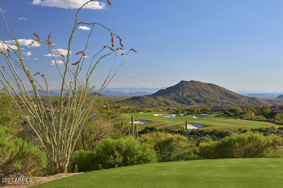 Desert Mountain - Residential