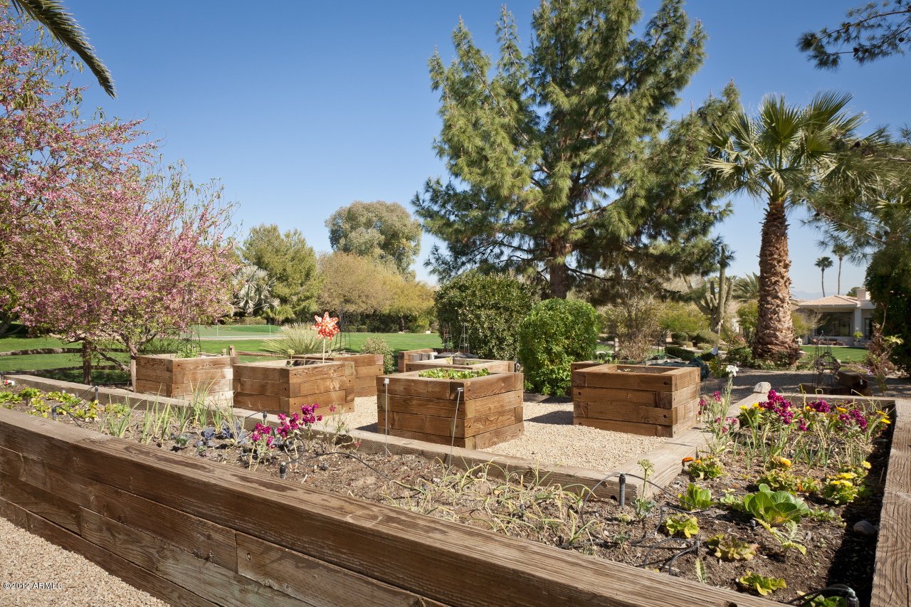 Camelback Lands - Residential