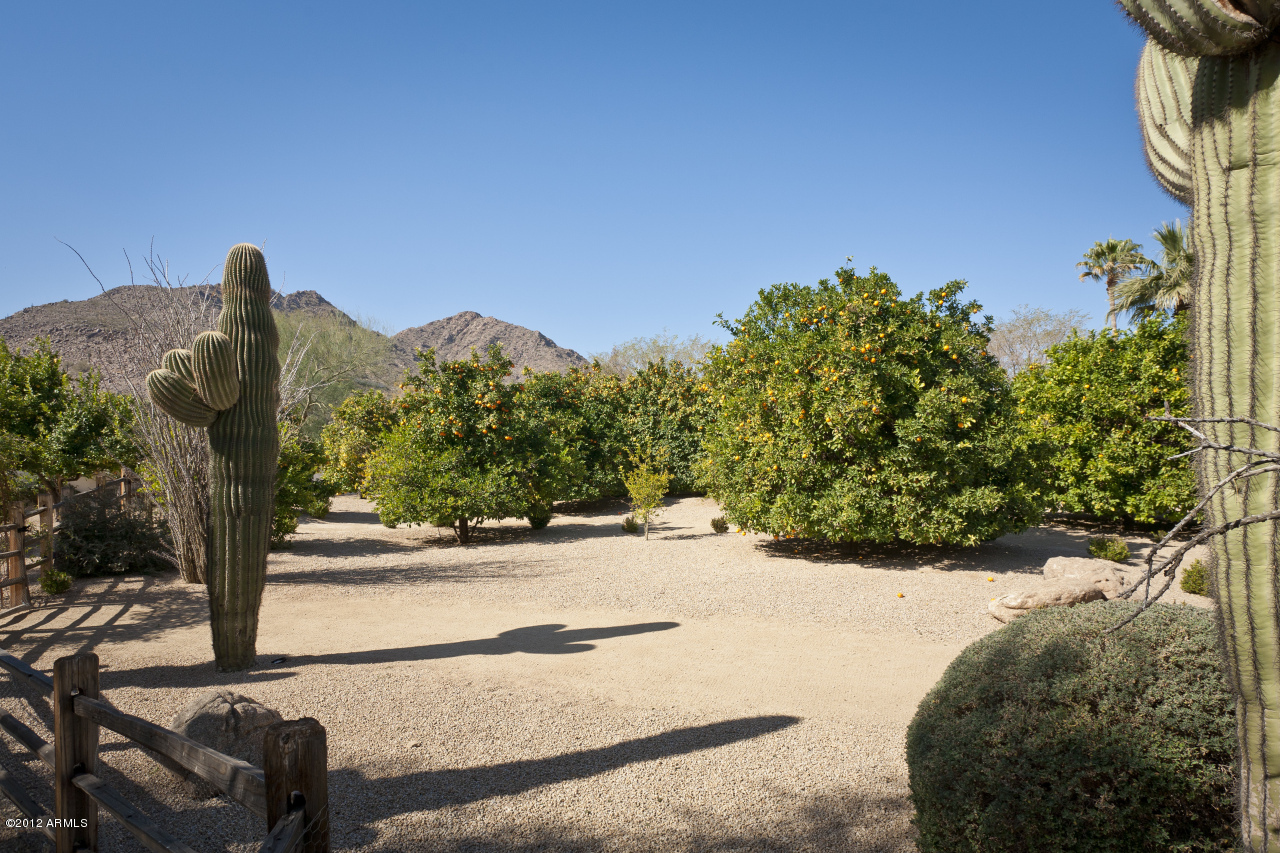 Camelback Lands - Residential