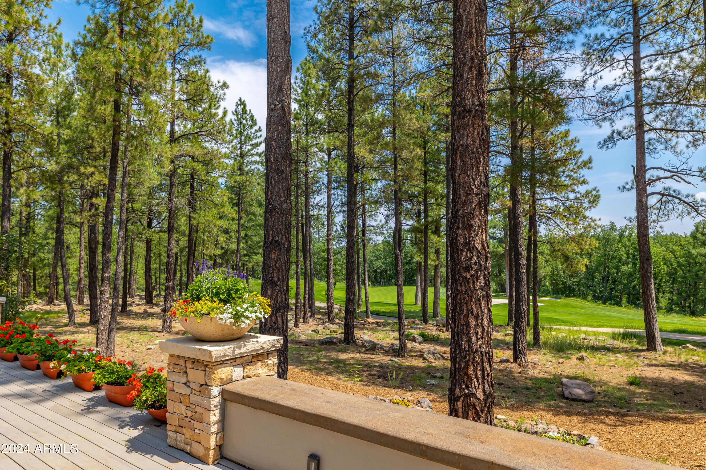 Forest Highlands - Residential
