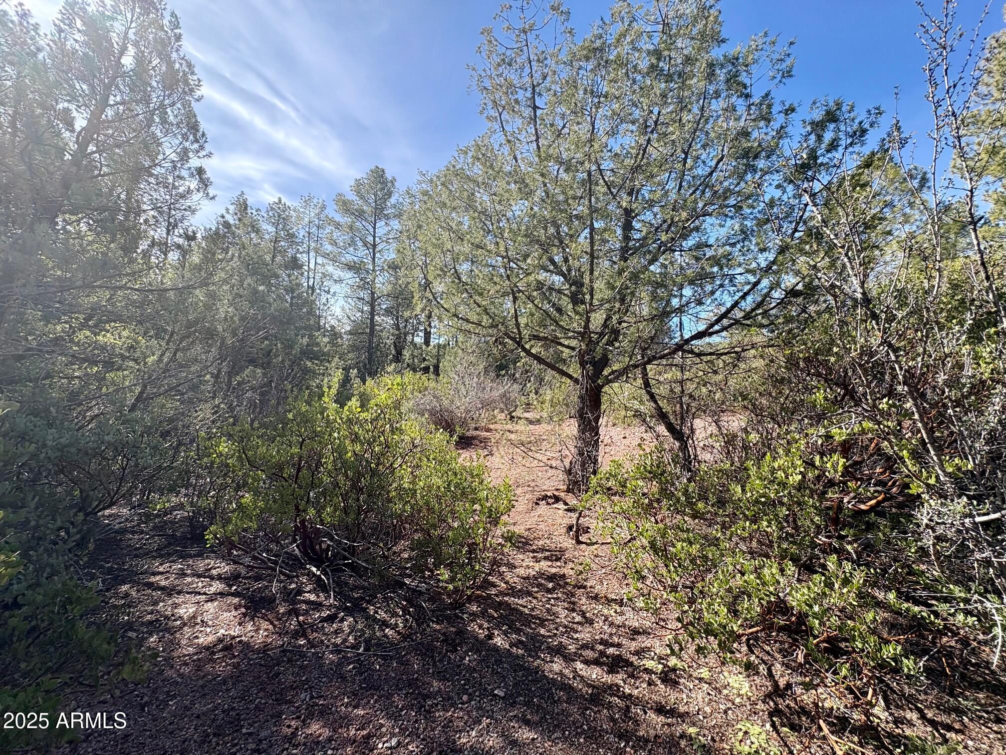 SOLITUDE TRAILS 1 - Land