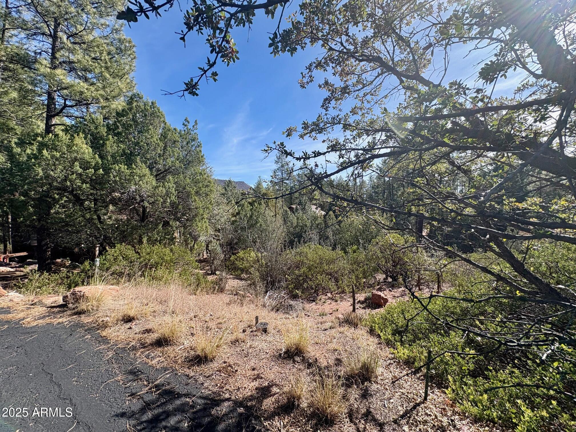SOLITUDE TRAILS 1 - Land