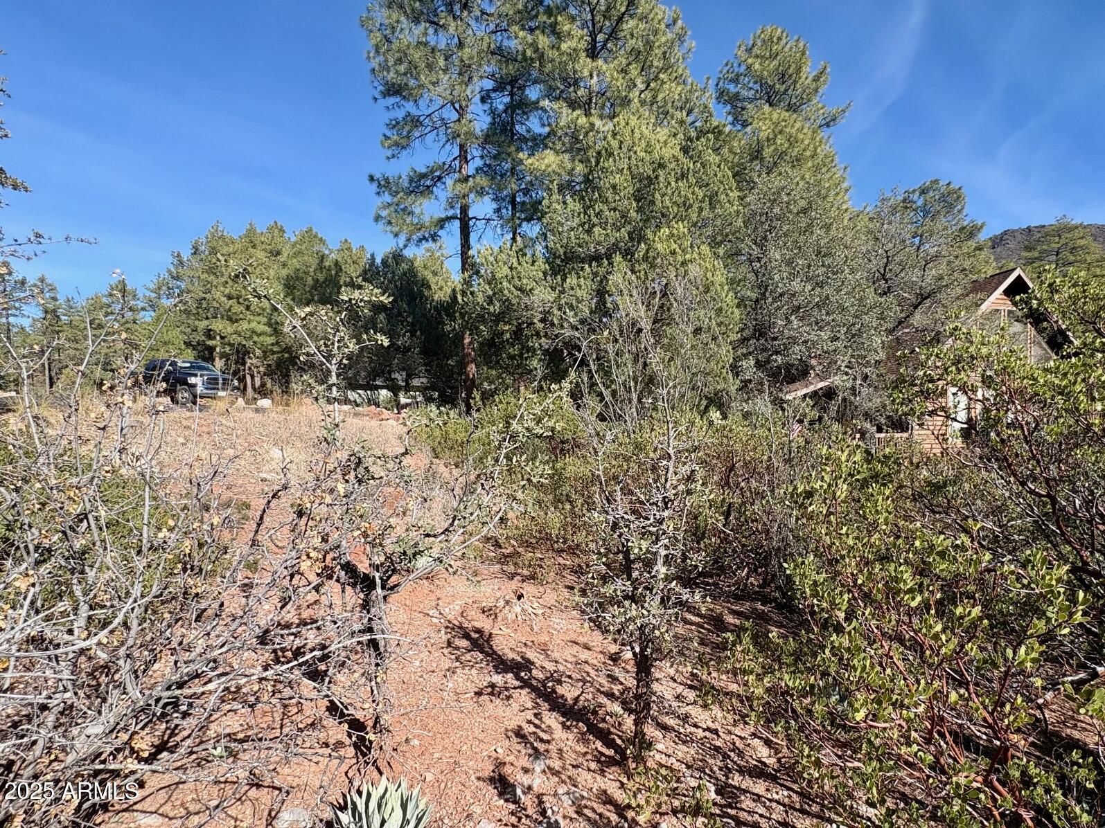 SOLITUDE TRAILS 1 - Land