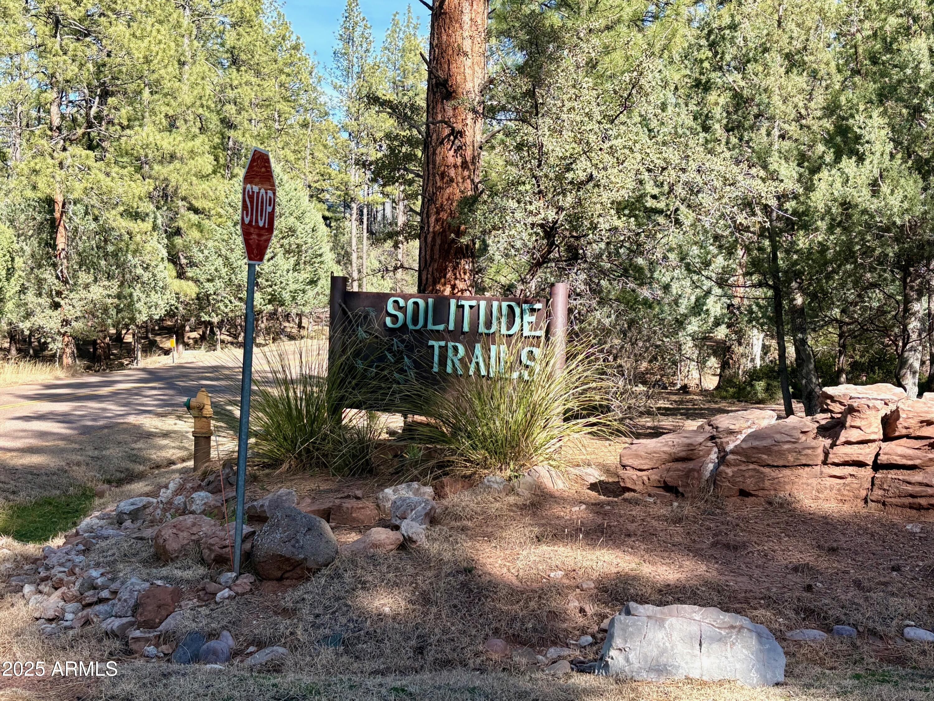 SOLITUDE TRAILS 1 - Land