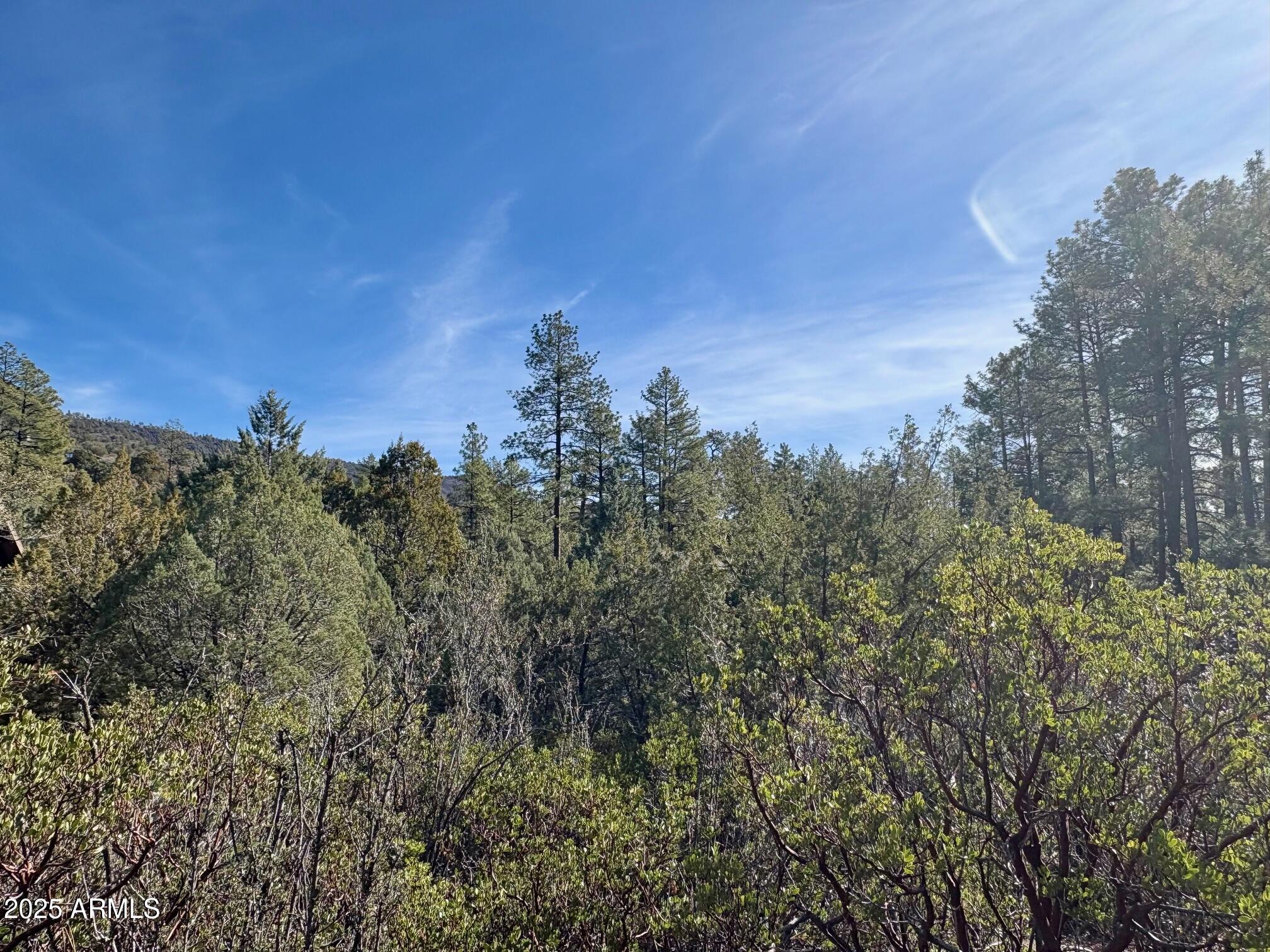 SOLITUDE TRAILS 1 - Land