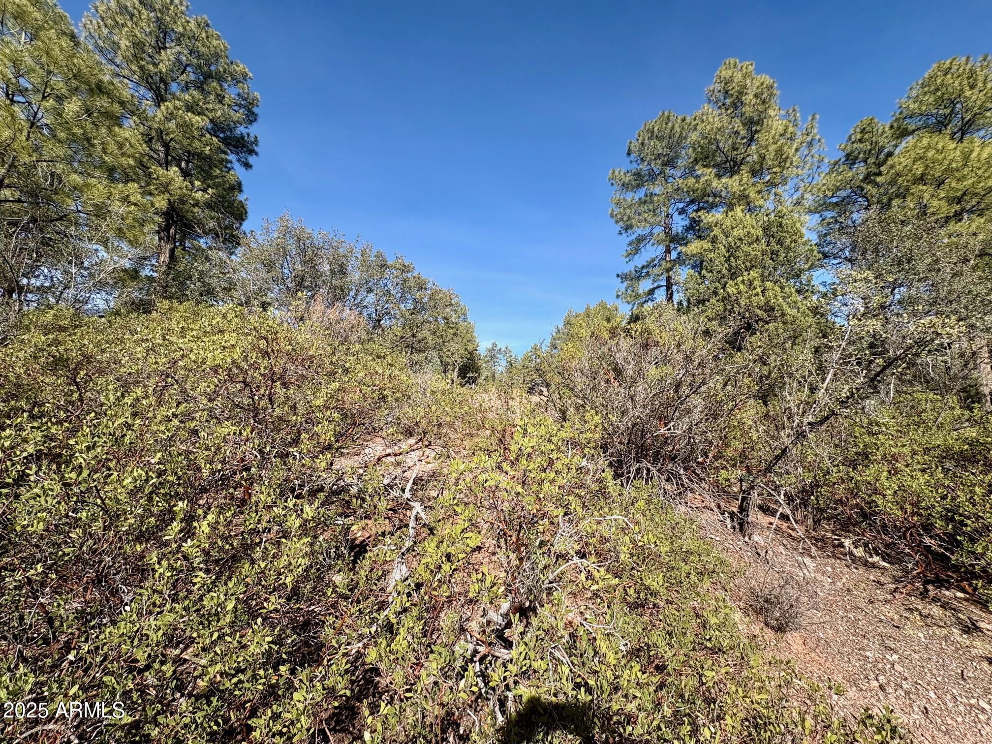 SOLITUDE TRAILS 1 - Land