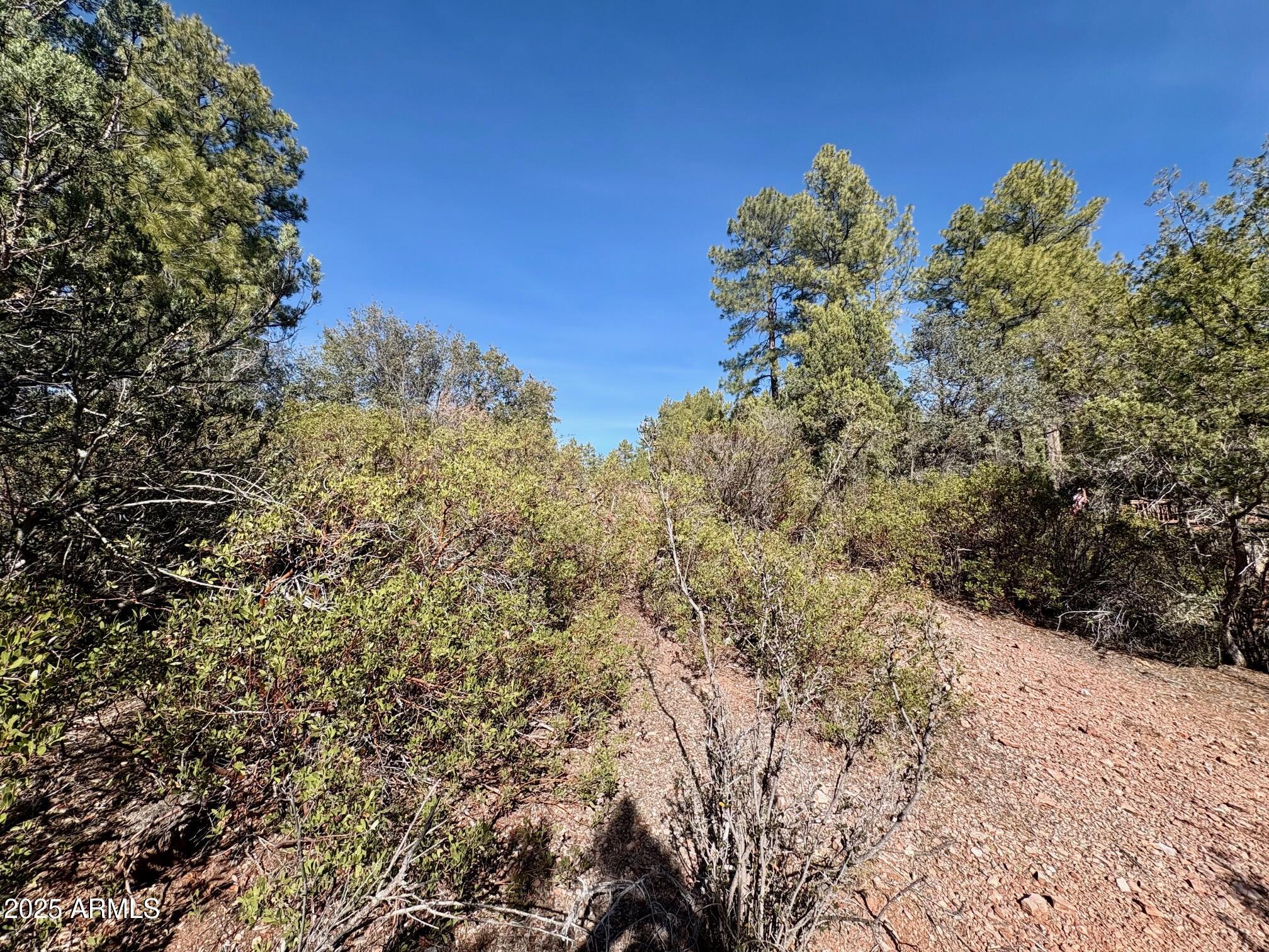 SOLITUDE TRAILS 1 - Land