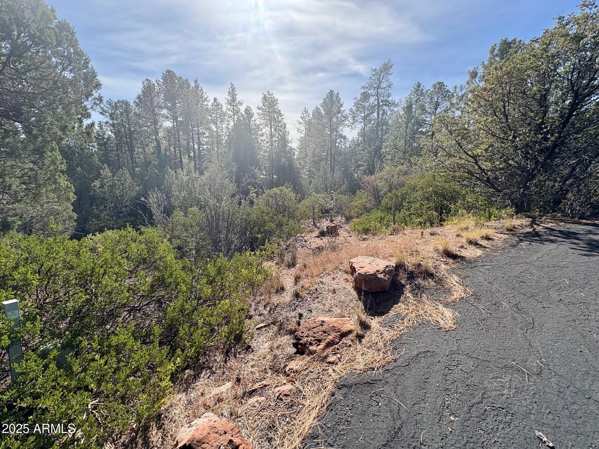 SOLITUDE TRAILS 1 - Land