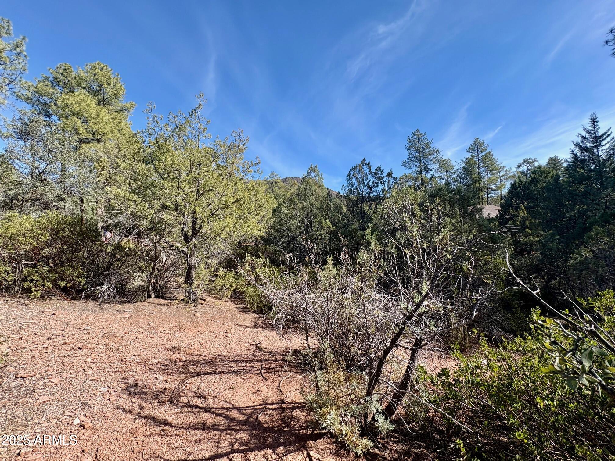 SOLITUDE TRAILS 1 - Land