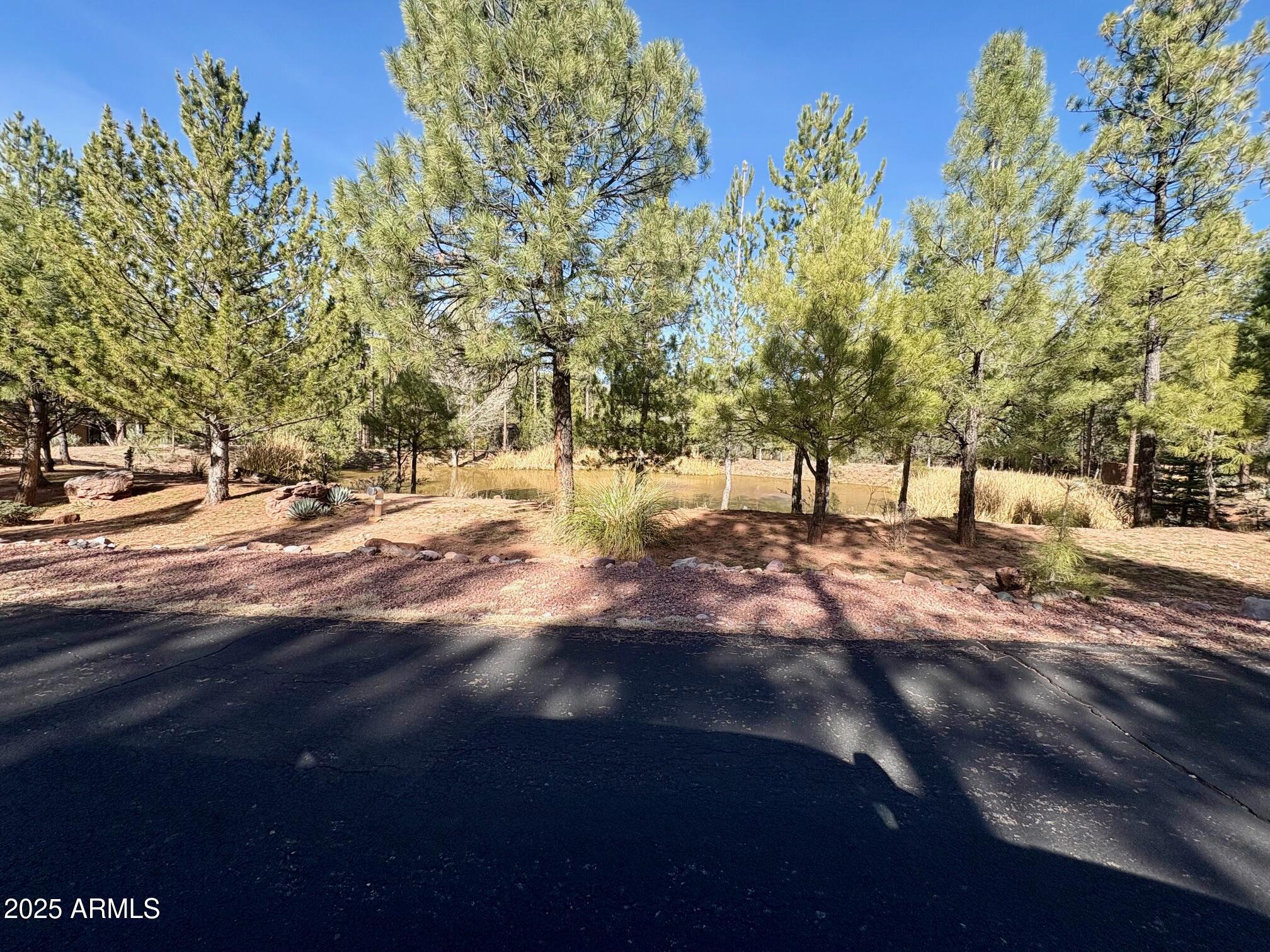 SOLITUDE TRAILS 1 - Land