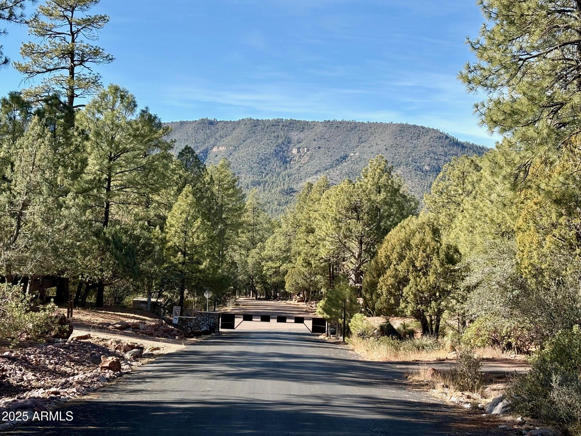 Build Your Mountain Dream in Exclusive Solitude Trails -- Best-Priced Lot Available! Imagine waking up to crisp mountain air, towering pines, and breathtaking Rim Country beauty in one of Pine's most desirable gated communities. This exceptional 0.35-acre homesite in Solitude Trails offers a rare opportunity to create the mountain retreat you have always envisioned -- and it is currently the best-priced lot available in the community. Perfectly positioned within this private, gated enclave, the property offers the ideal blend of tranquility, security, and scenic beauty. Whether you dream of a peaceful full-time residence, luxurious second home, or mountain getaway, this homesite provides an incredible canvas to bring your vision to life. Even better -- much of the groundwork is already in place, making it easier to begin building sooner. Electric, propane, and a water meter are already at the property, offering exceptional convenience and added value from day one. Solitude Trails is known for its thoughtful infrastructure and mountain lifestyle amenities, including a private water company supported by a 100,000-gallon on-site water tank for reliable service. HOA benefits provide low-maintenance living and include road maintenance, trash service, and the rare convenience of access to a community sewer system -- a valuable feature not often found in mountain communities. With limited opportunities available in this sought-after neighborhood and this being the best-priced lot currently on the market, now is the time to secure your place in one of Rim Country's most coveted communities. Don't miss your chance to own a piece of Pine's mountain beauty and begin building the lifestyle you have been waiting for.