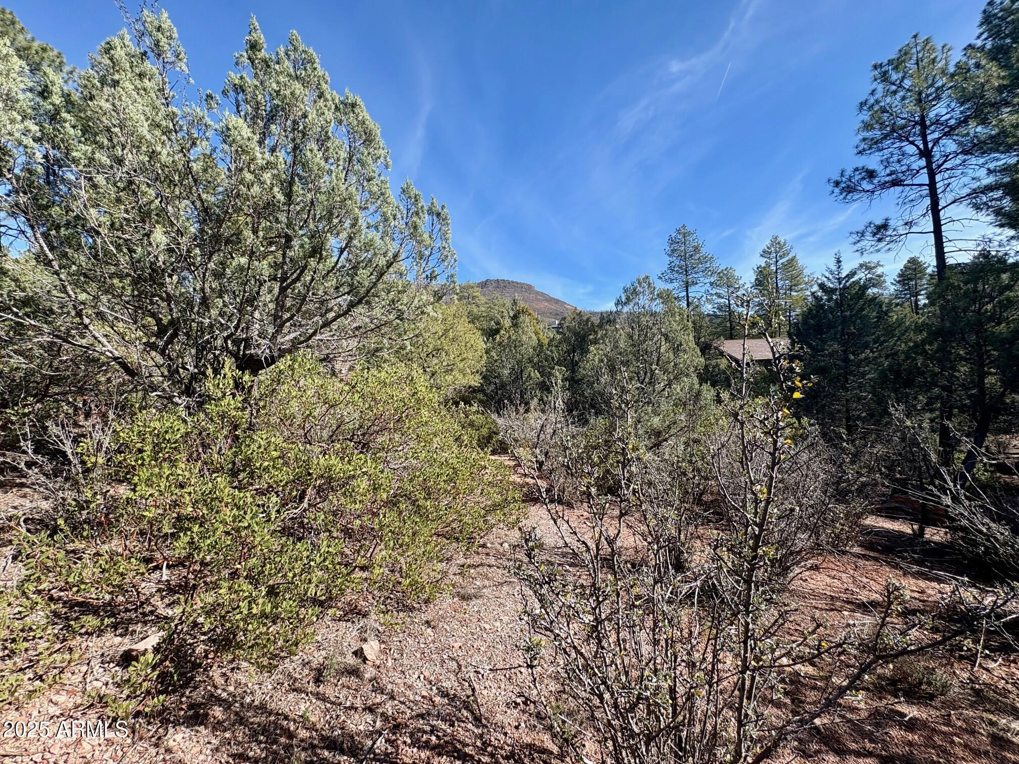SOLITUDE TRAILS 1 - Land