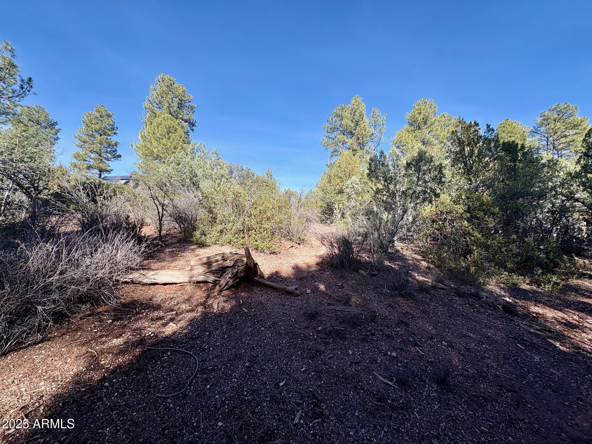 SOLITUDE TRAILS 1 - Land