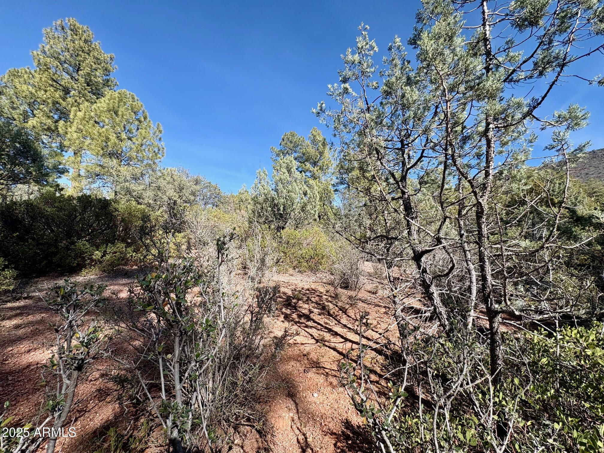 SOLITUDE TRAILS 1 - Land