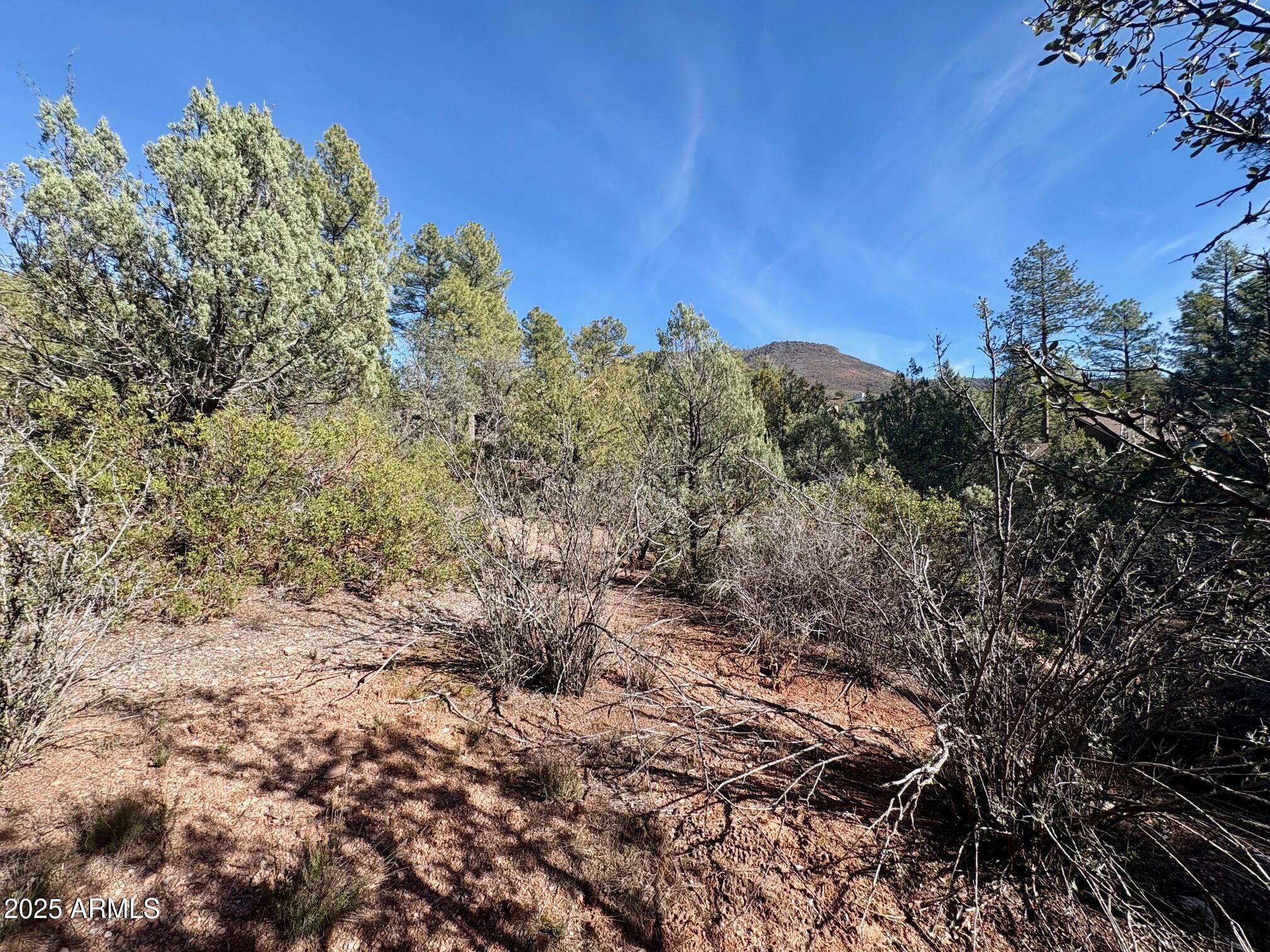 SOLITUDE TRAILS 1 - Land