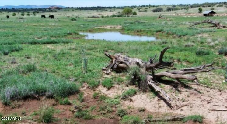 LAS VEGAS RANCH ESTATES - Land
