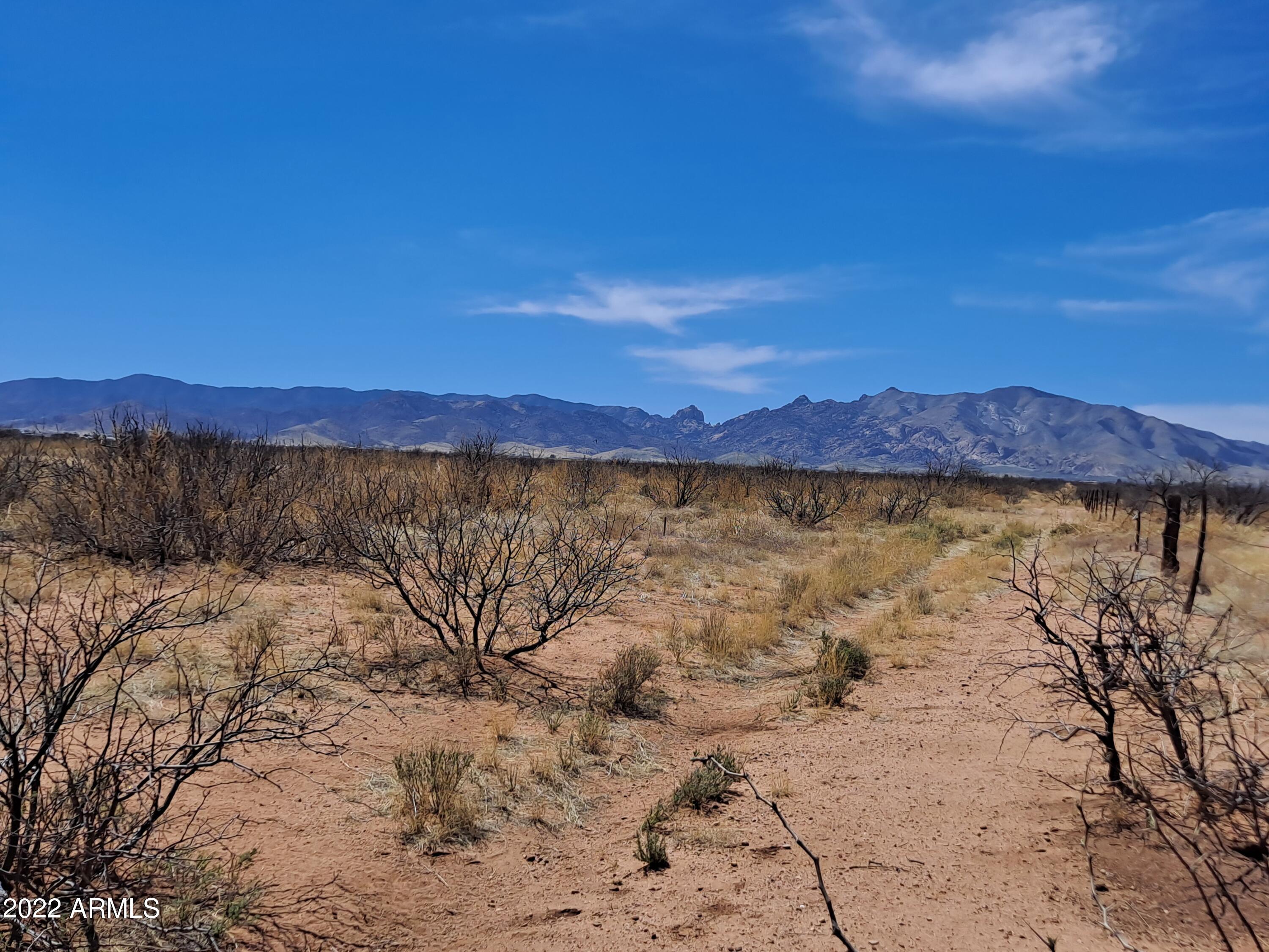Excellent location in the farming heart of Pearce, AZ! This lot looks out over the Dragoon Mountains to the West and beautiful farms to the South. Great buildable lot and an easy road to travel on. Pearce has so much to offer *** from fruit & vegetable farms to some of Arizona's top award-winning vineyards! Almost a full acre of views from every angle ~ NO HOA's here! Build or bring your new dream home today!