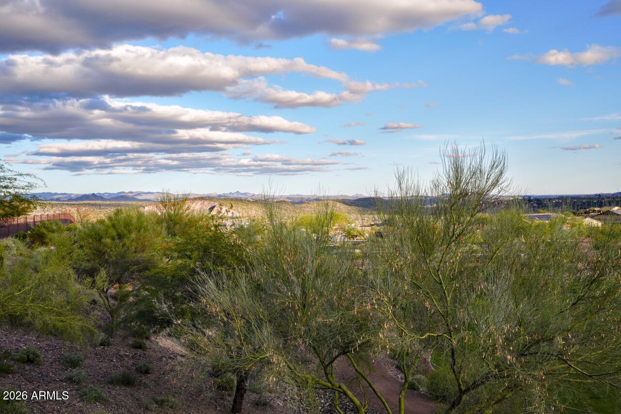 WICKENBURG RANCH - Residential