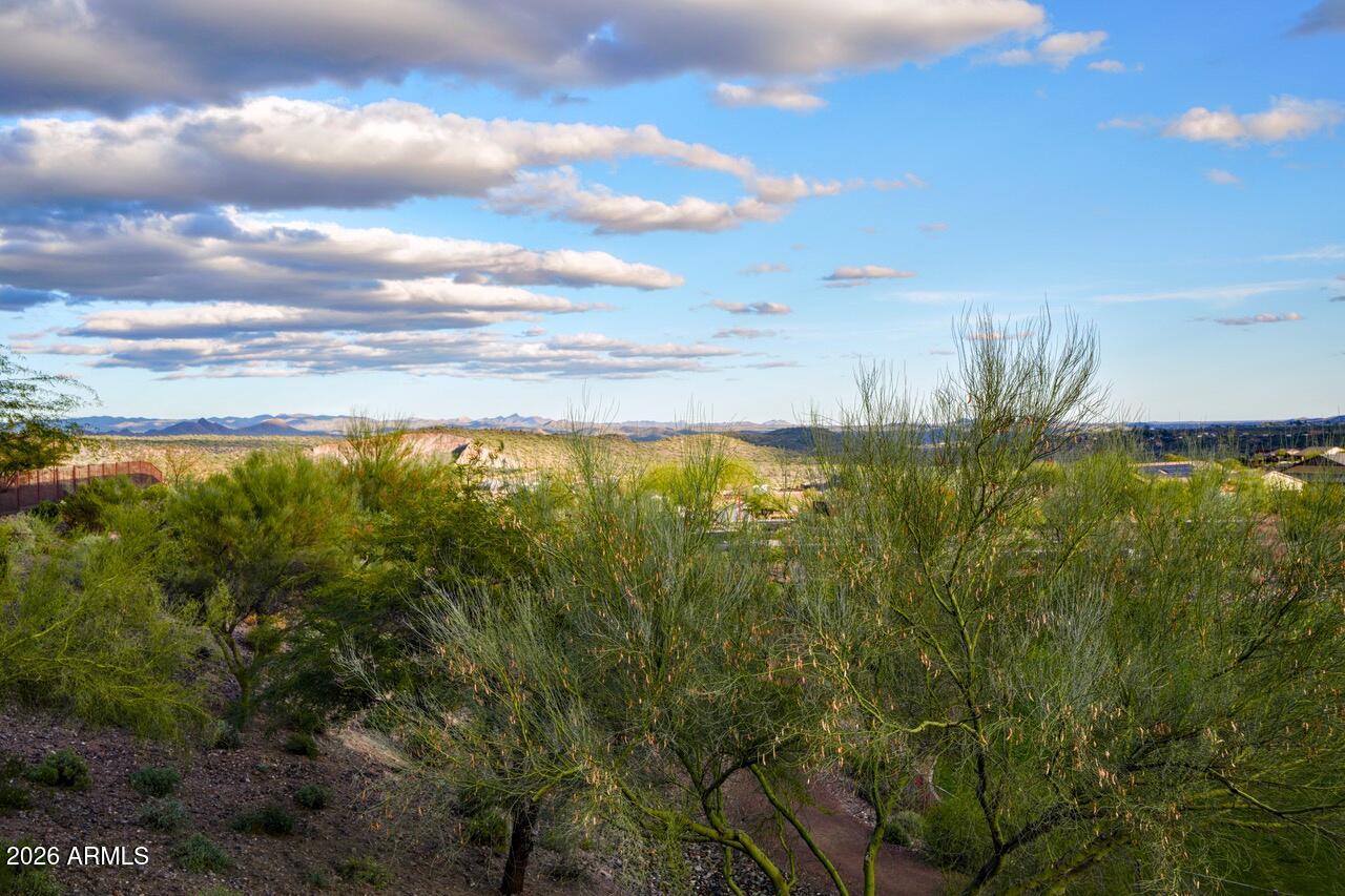 WICKENBURG RANCH - Residential