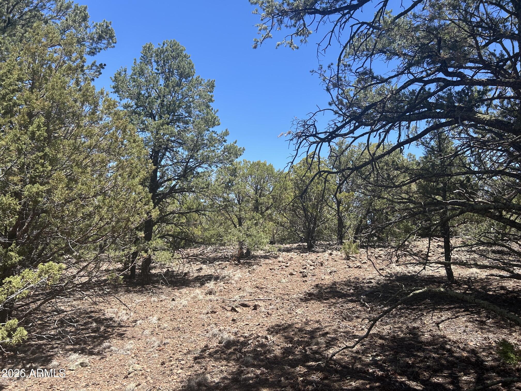 Here is a one-of-a-kind property where your back yard is the National forest. Lots of Large tall trees, sloping for great views, lots of wildlife, elk, deer, etc.  Property is 4.5 acres but, if want more acreage, two adjourning parcels maybe for sale for a total of 12.5 ac. NO HOA. Bring your toys and build your dream home in this quiet secluded area.  
Owner is a licensed Real Estate Agent in the state of AZ.