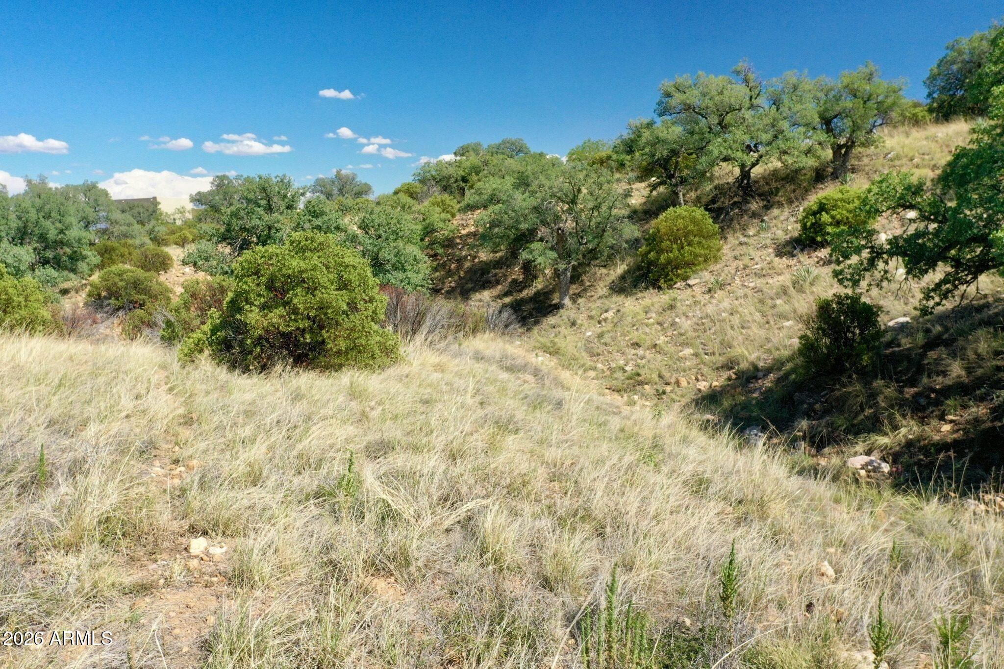 WILDHORSE - Land