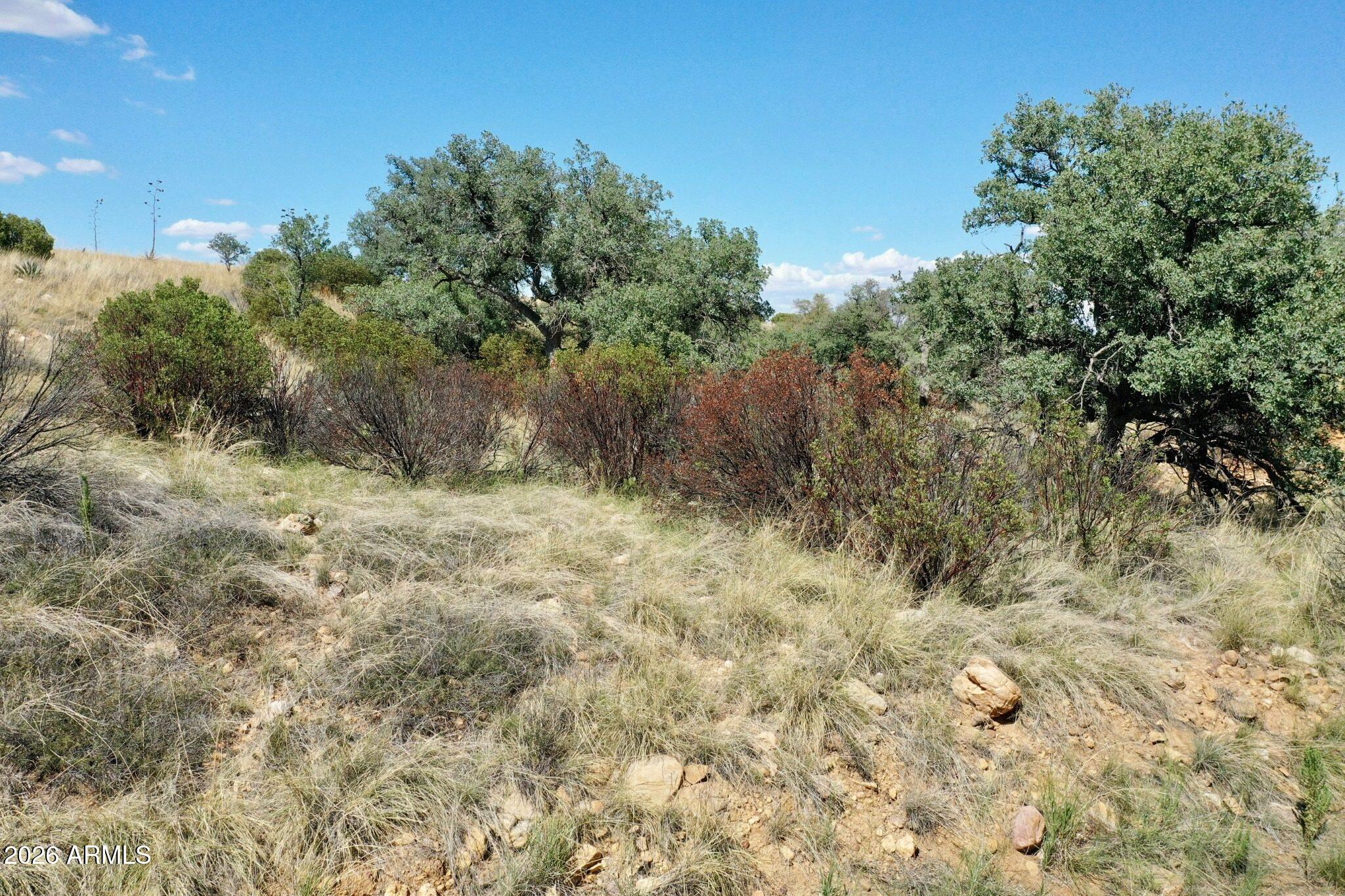 WILDHORSE - Land