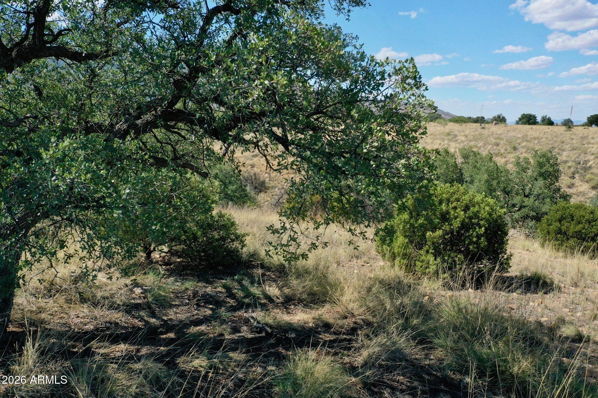 WILDHORSE - Land