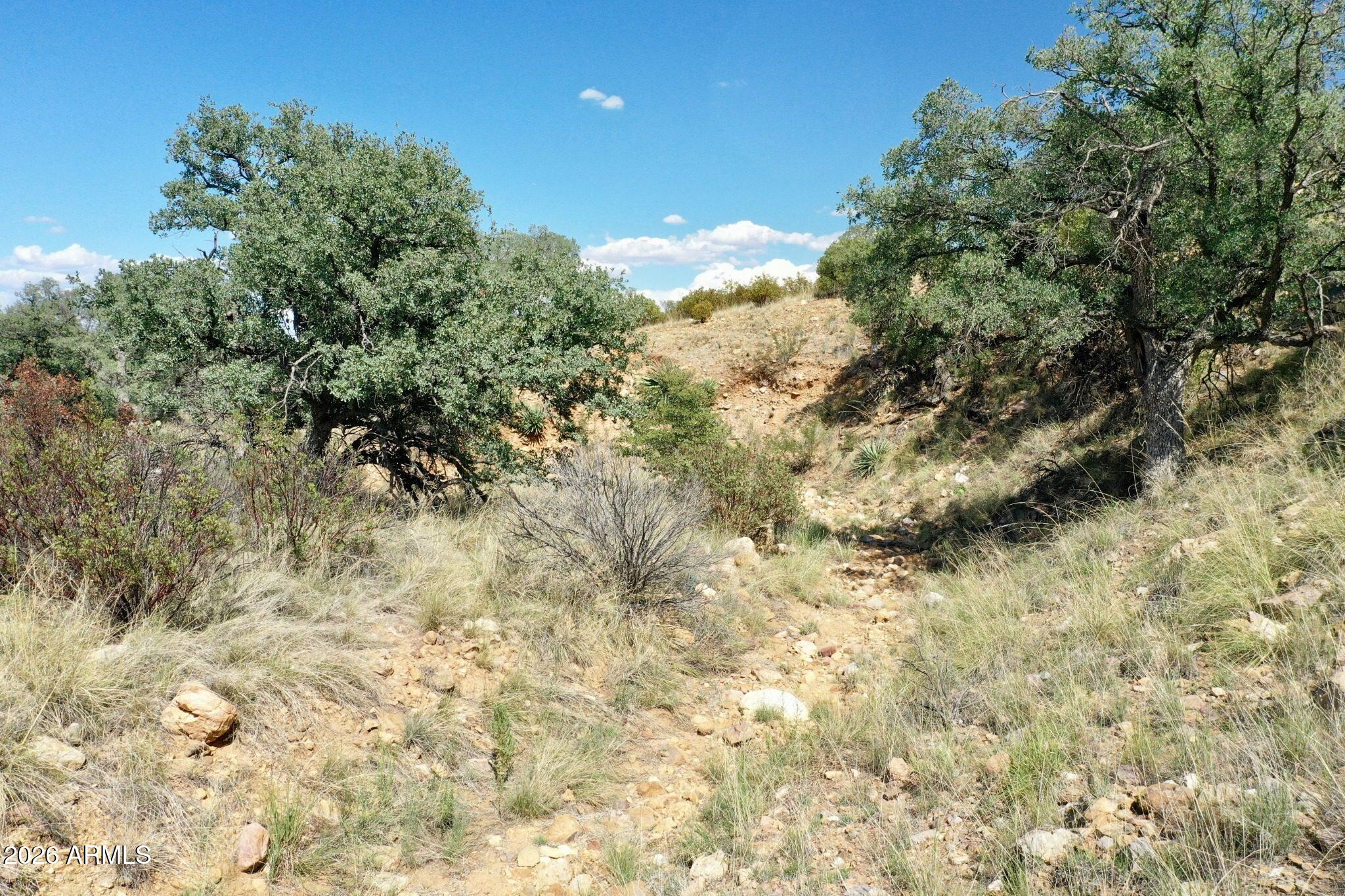 3.6-acre mountain-view lot in an established Hereford HOA community.  Gently rolling terrain with native grasses, mature oaks, and panoramic Huachuca Mountain views. Paved road access, electricity and water available in the area. Low-density neighborhood anchored by quality custom homes. Minutes to Sierra Vista (15 min) for shopping, dining, and medical.