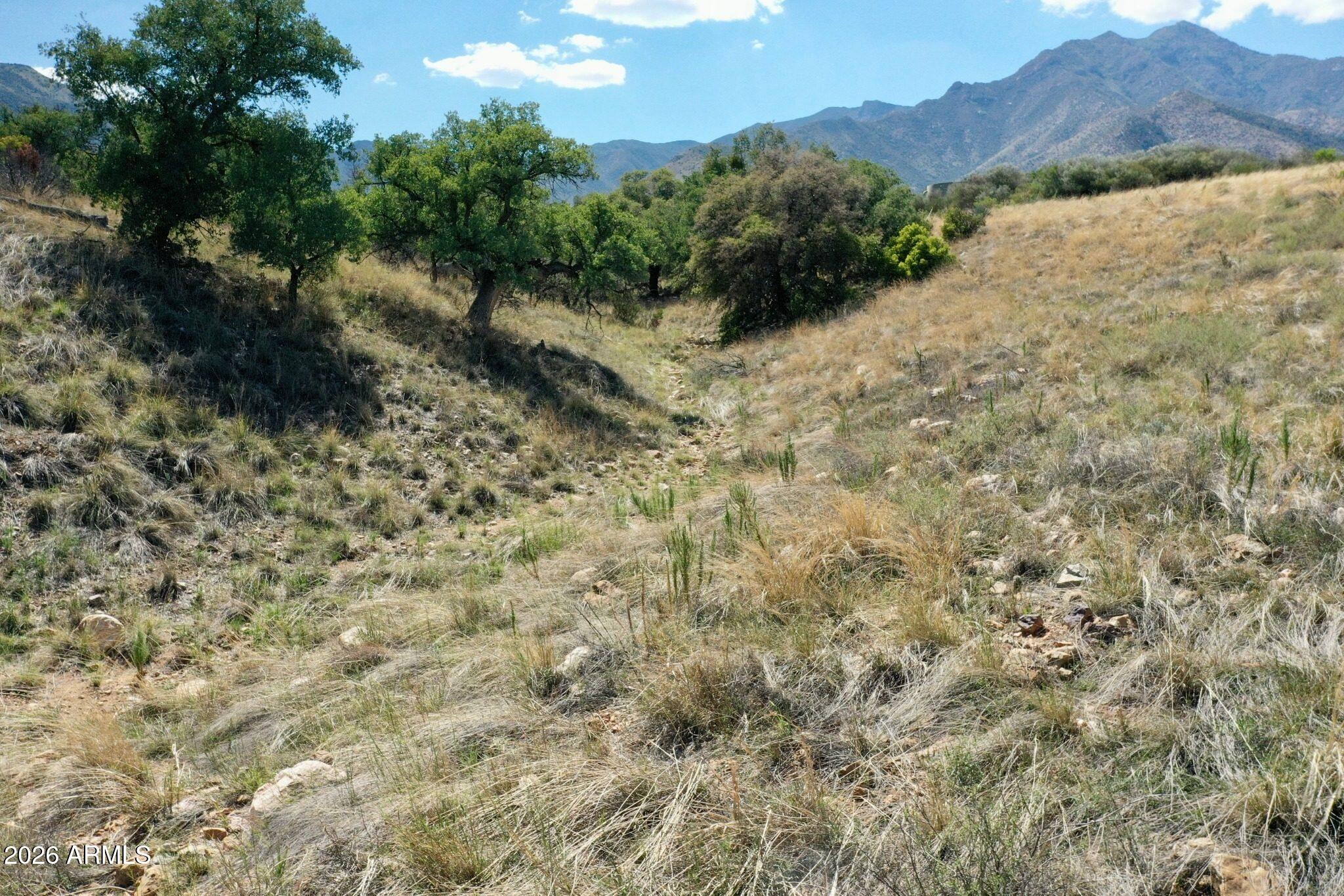 WILDHORSE - Land