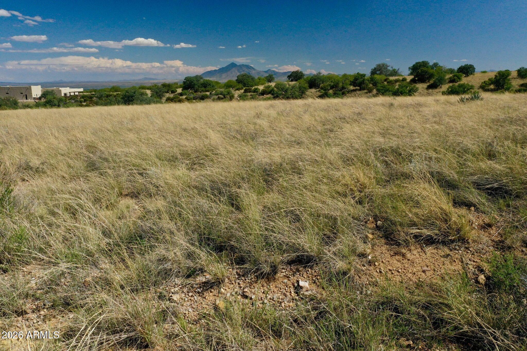 WILDHORSE - Land