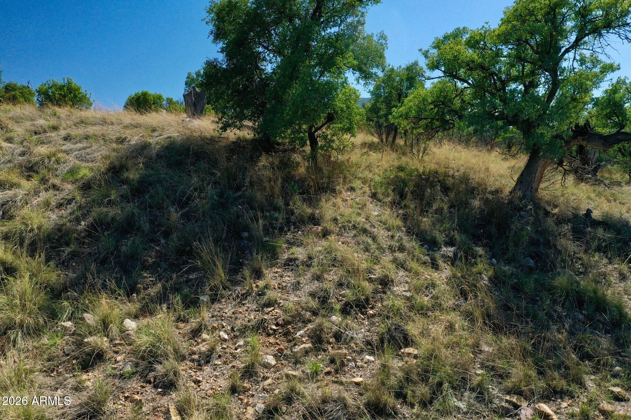 WILDHORSE - Land